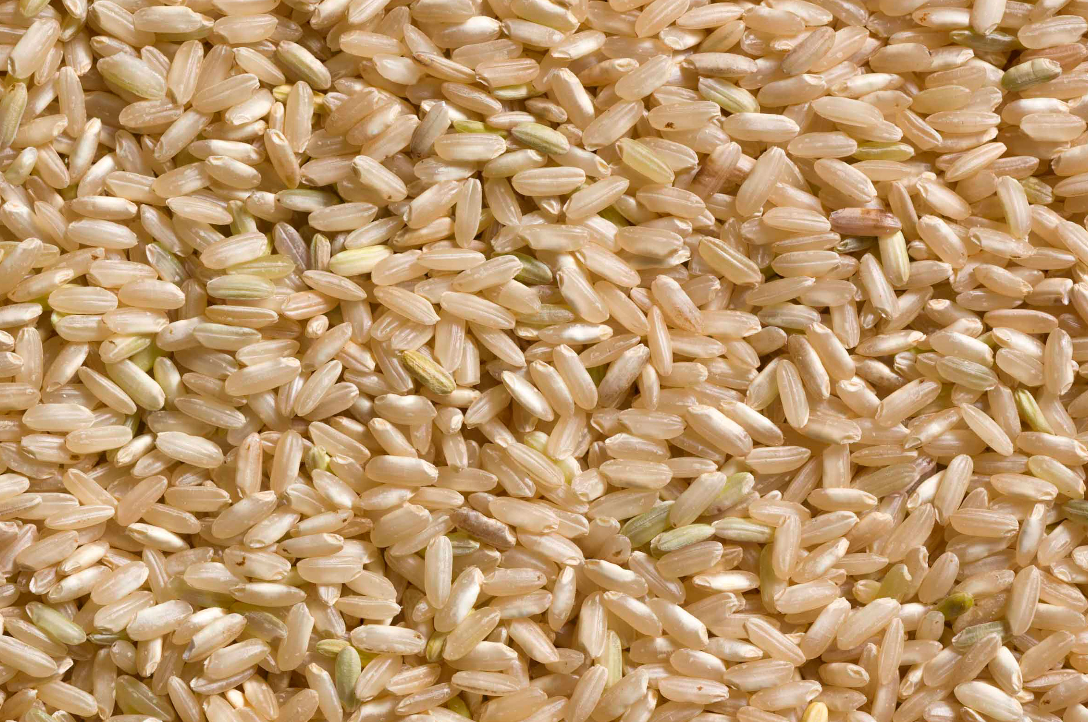 Certified Organic Long Grain Brown Rice – Blue Moon Acres