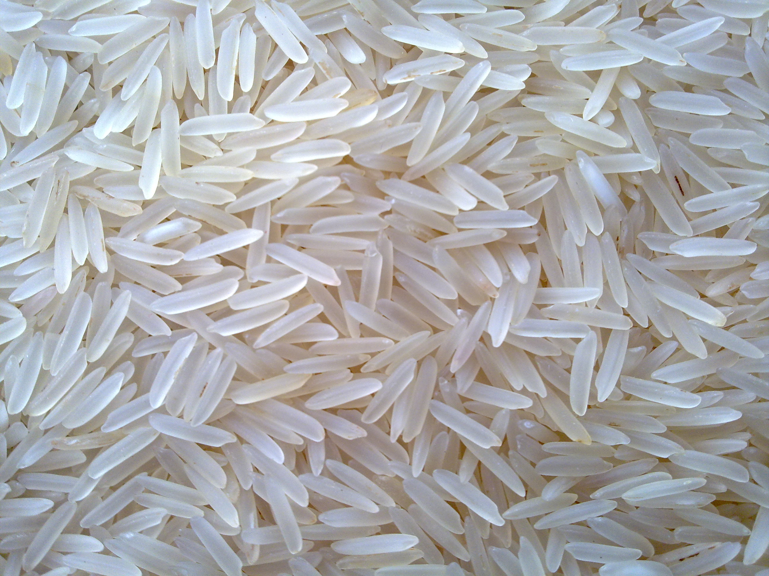 Whole Grain Basmati Rice - Allergy Friendly Foods - MyGerbs
