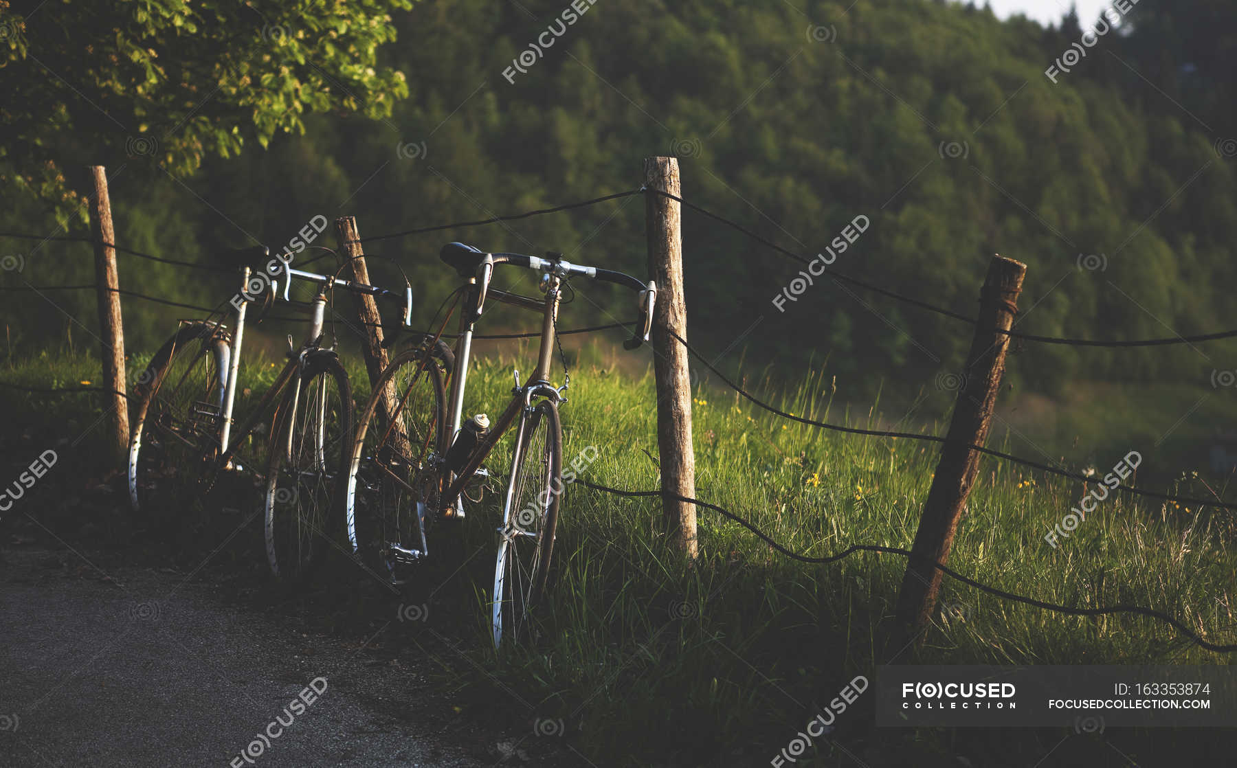 Bicycles leaning against rickety fence — Stock Photo | #163353874
