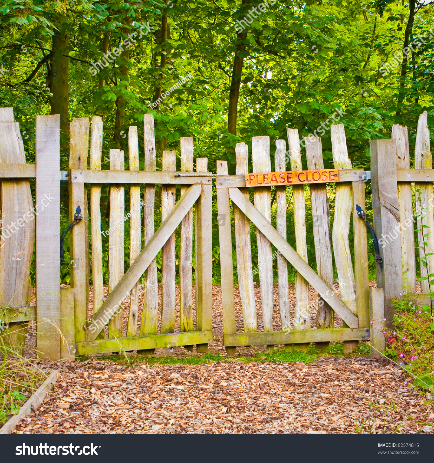 Rickety Wooden Gate Rural Forest Stock Photo 82574815 - Shutterstock