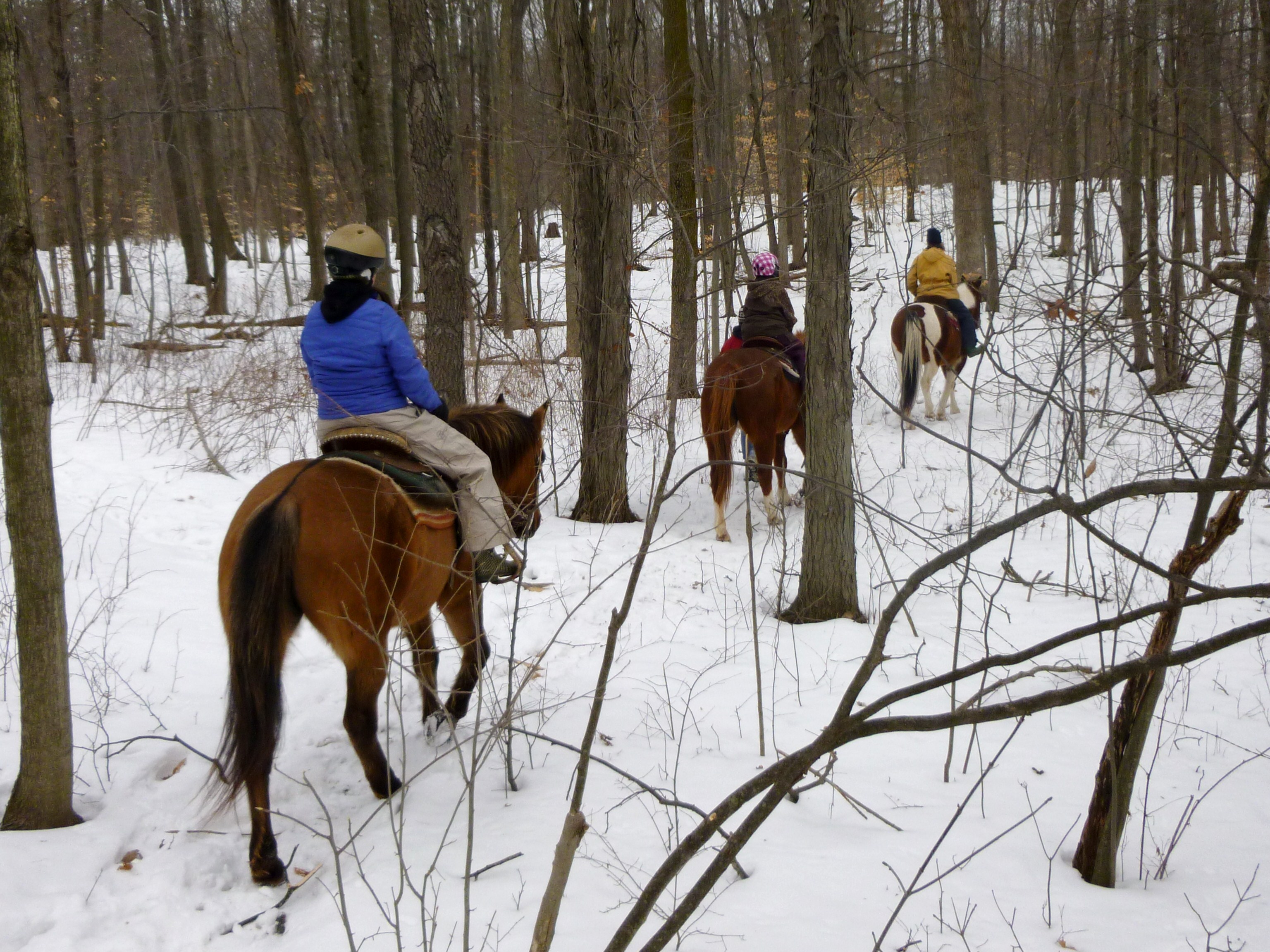 Romancing Winter: a snow covered ride | Global Travel for Horse Lovers