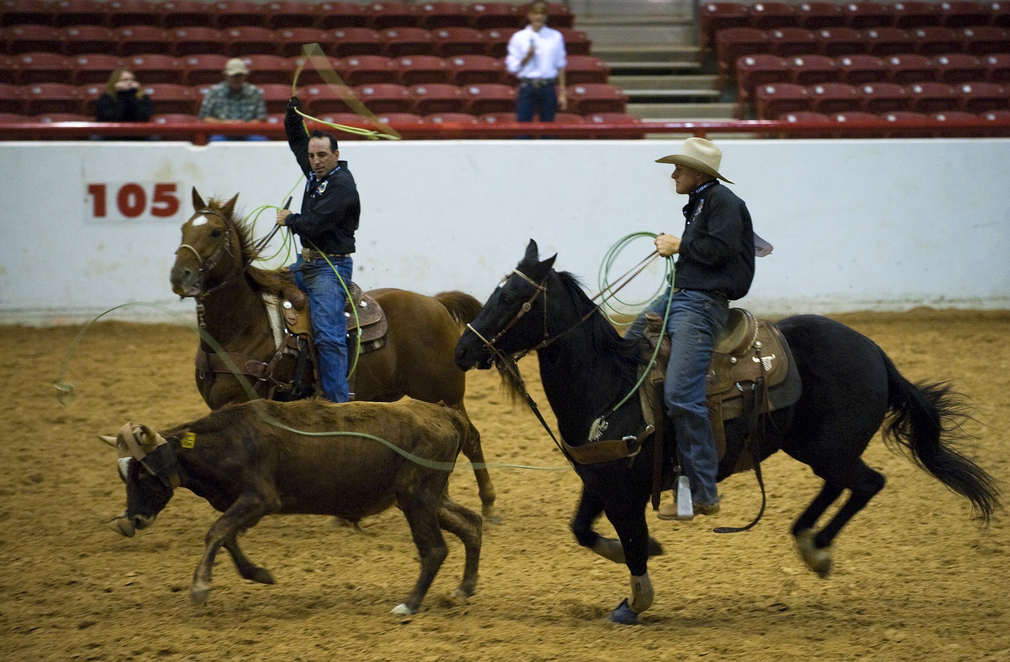 Riders in the Ring, Activity, Bull, Deadly, Horse, HQ Photo