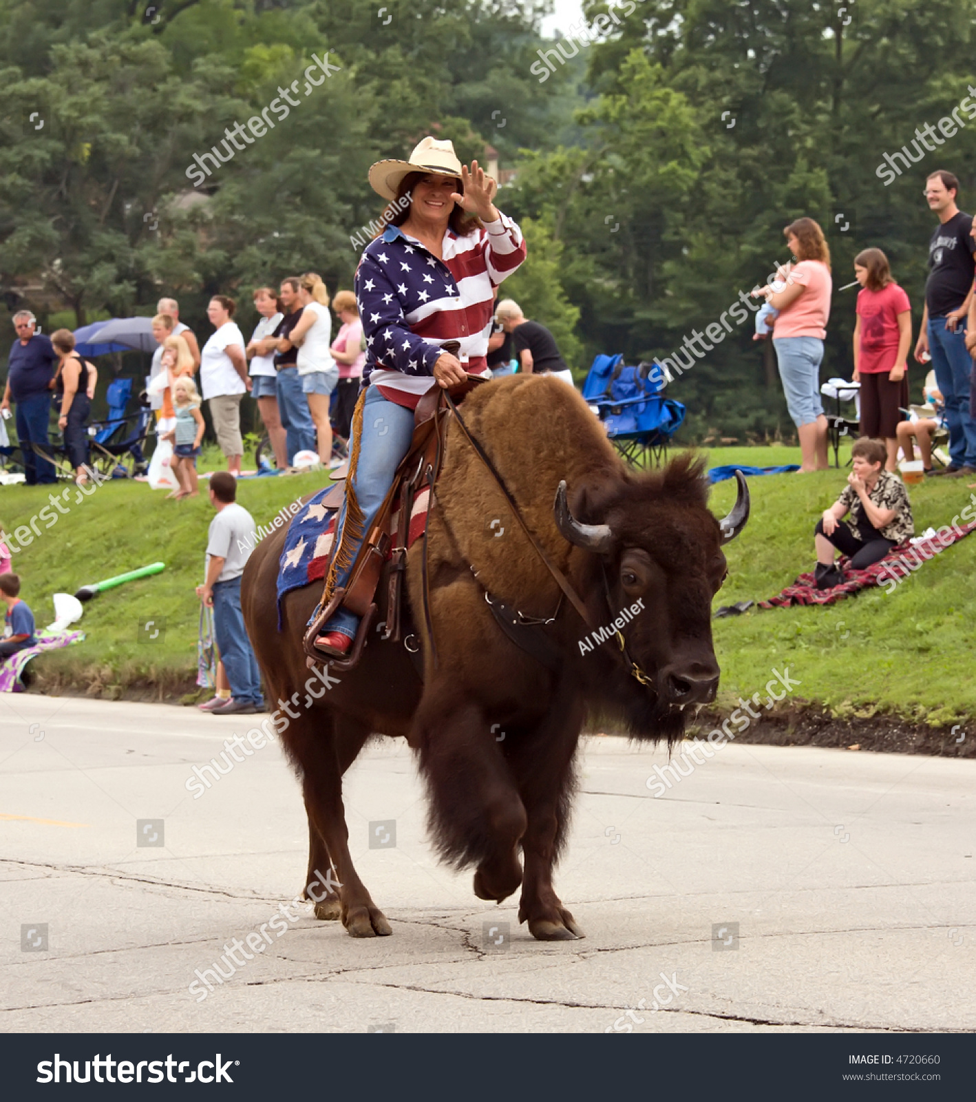 Lady Riding Buffalo Parade Stock Photo (Royalty Free) 4720660 ...