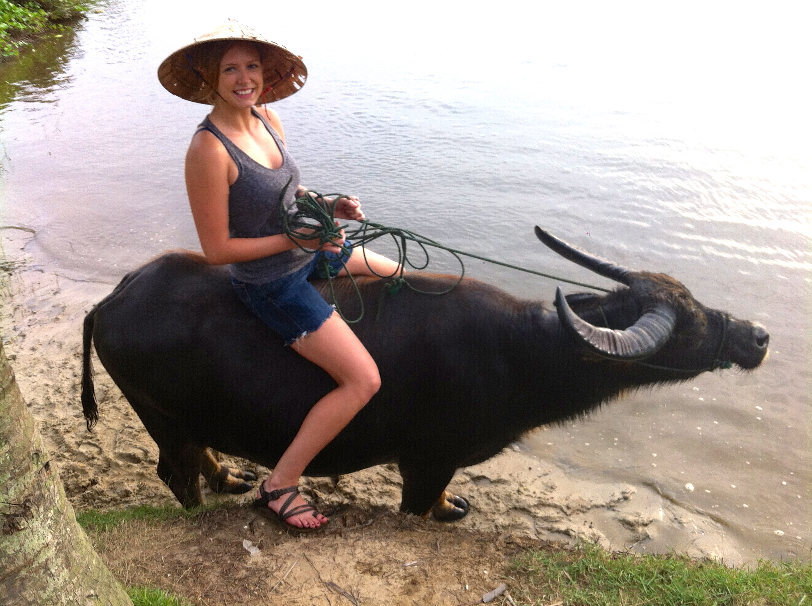 Bicycling Hoi An & Riding Water Buffalo | Live Fast Thai Young