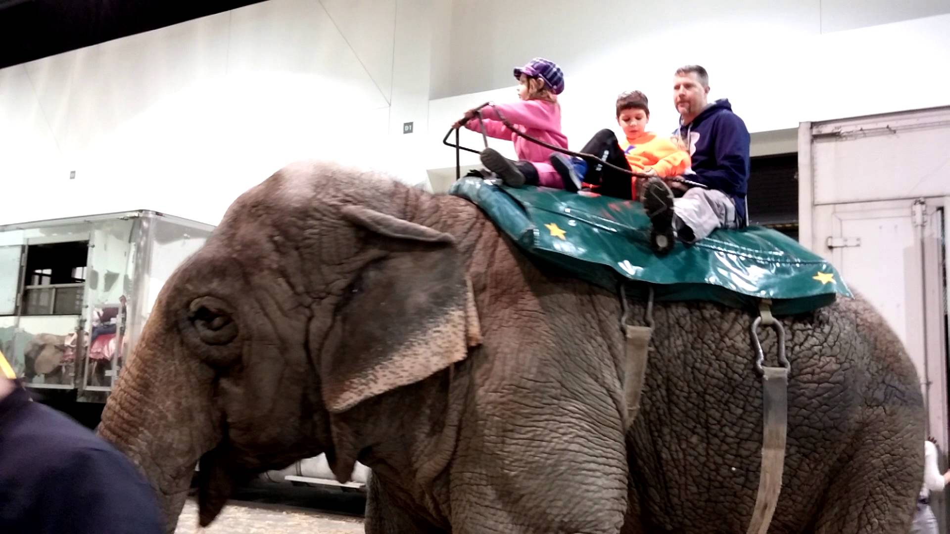 Chris and the kids riding the elephant. - YouTube