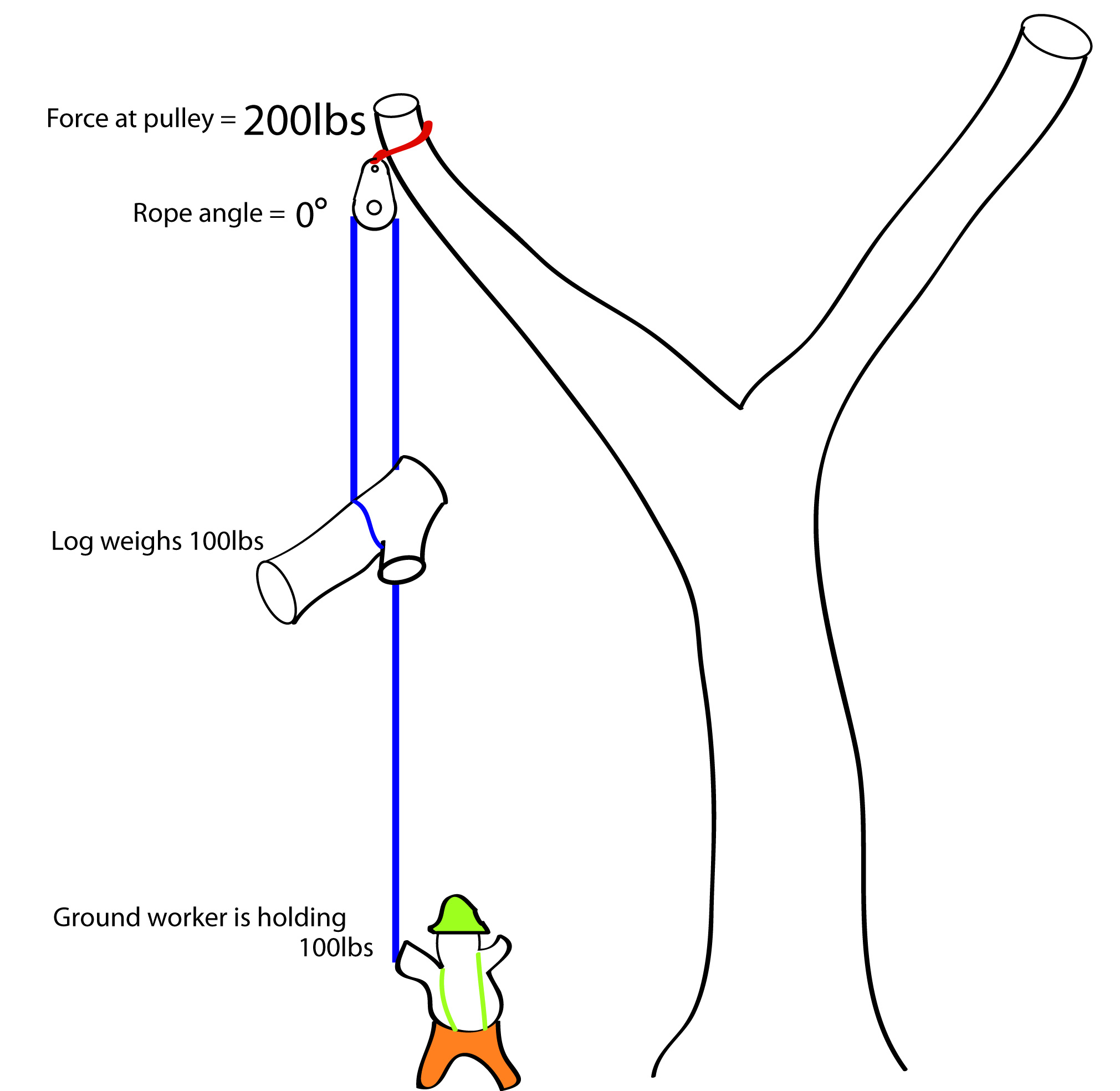 Physics Forces In Tree Rigging