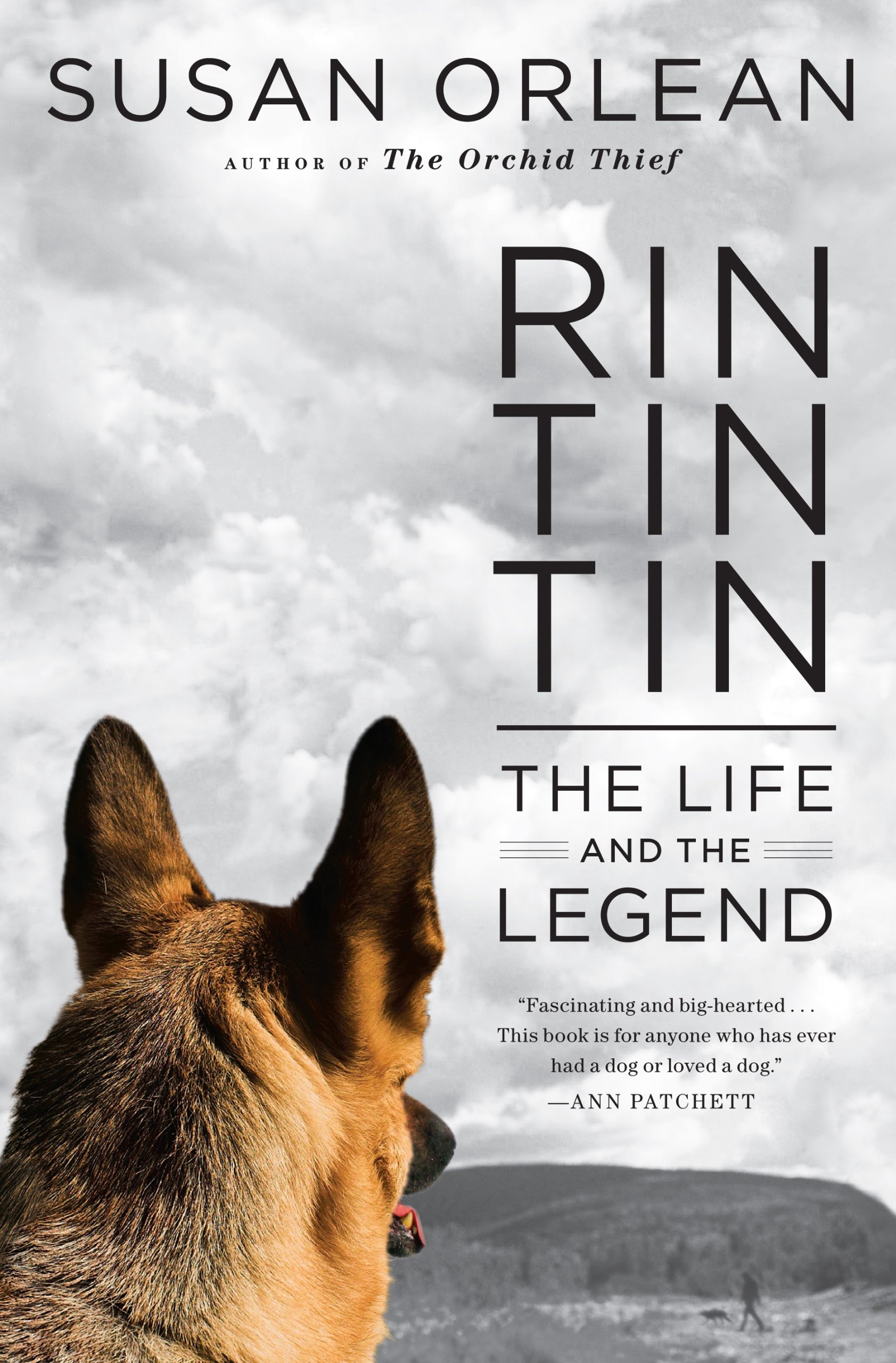 Rin Tin Tin: The Life and the Legend (Thorndike Biography): Susan ...