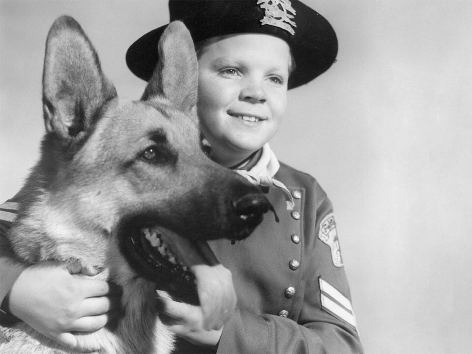 Rin Tin Tin and the Power of Story – The Extratextual