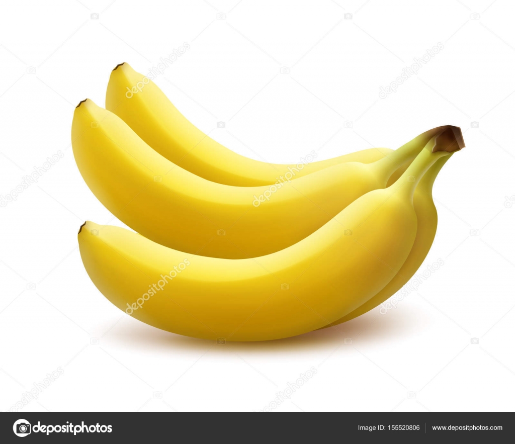 Ripe banana bunch — Stock Vector © MSSA #155520806