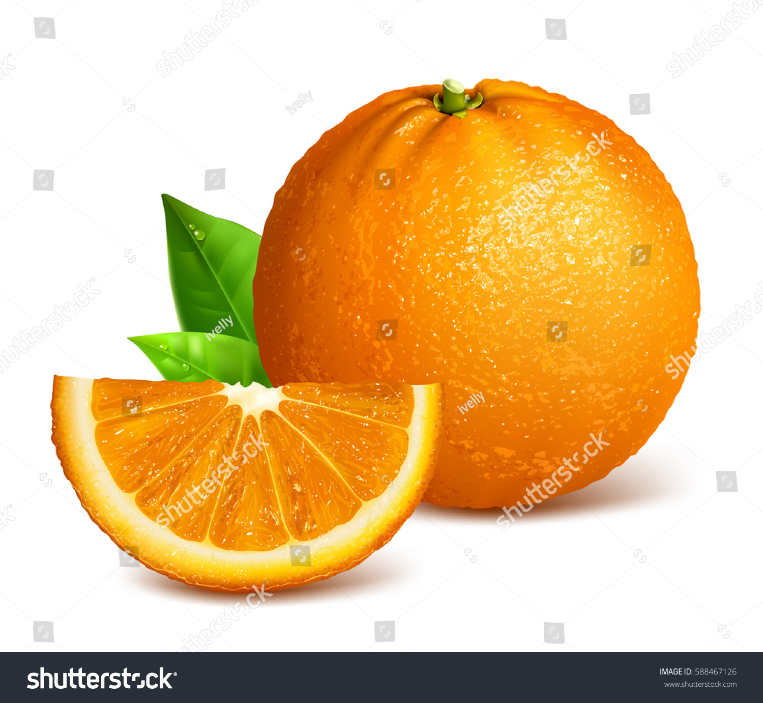 Whole Ripe Oranges Slices Vector Illustration Stock Vector 588467126 ...