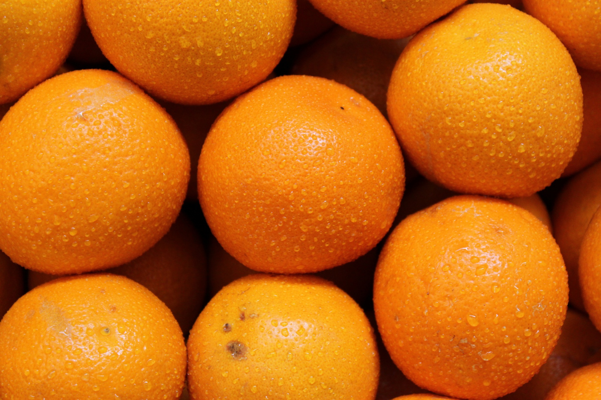 Ripe oranges photo