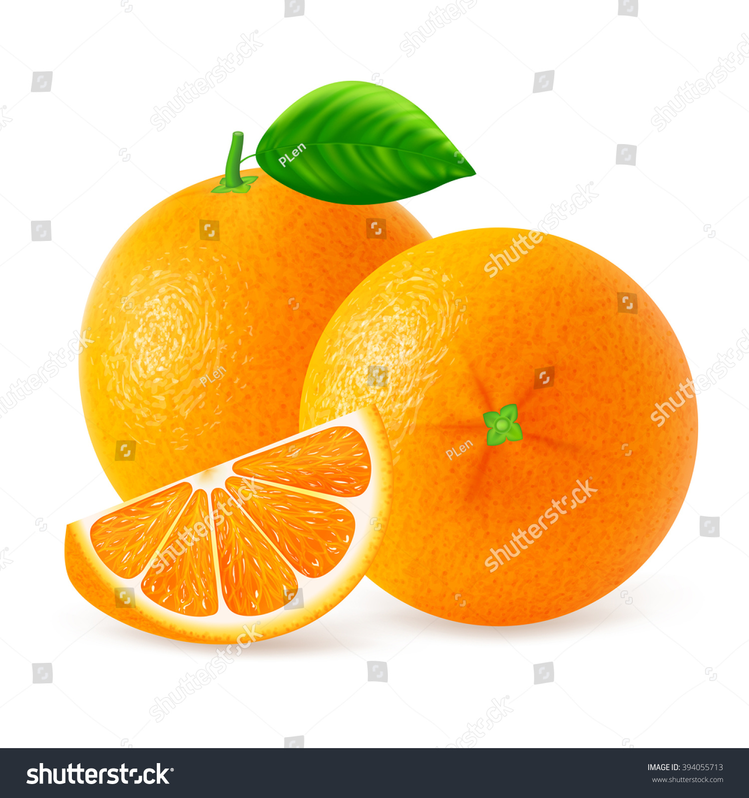 Ripe Oranges Fruits Slices Leaf Isolated Stock Vector HD (Royalty ...