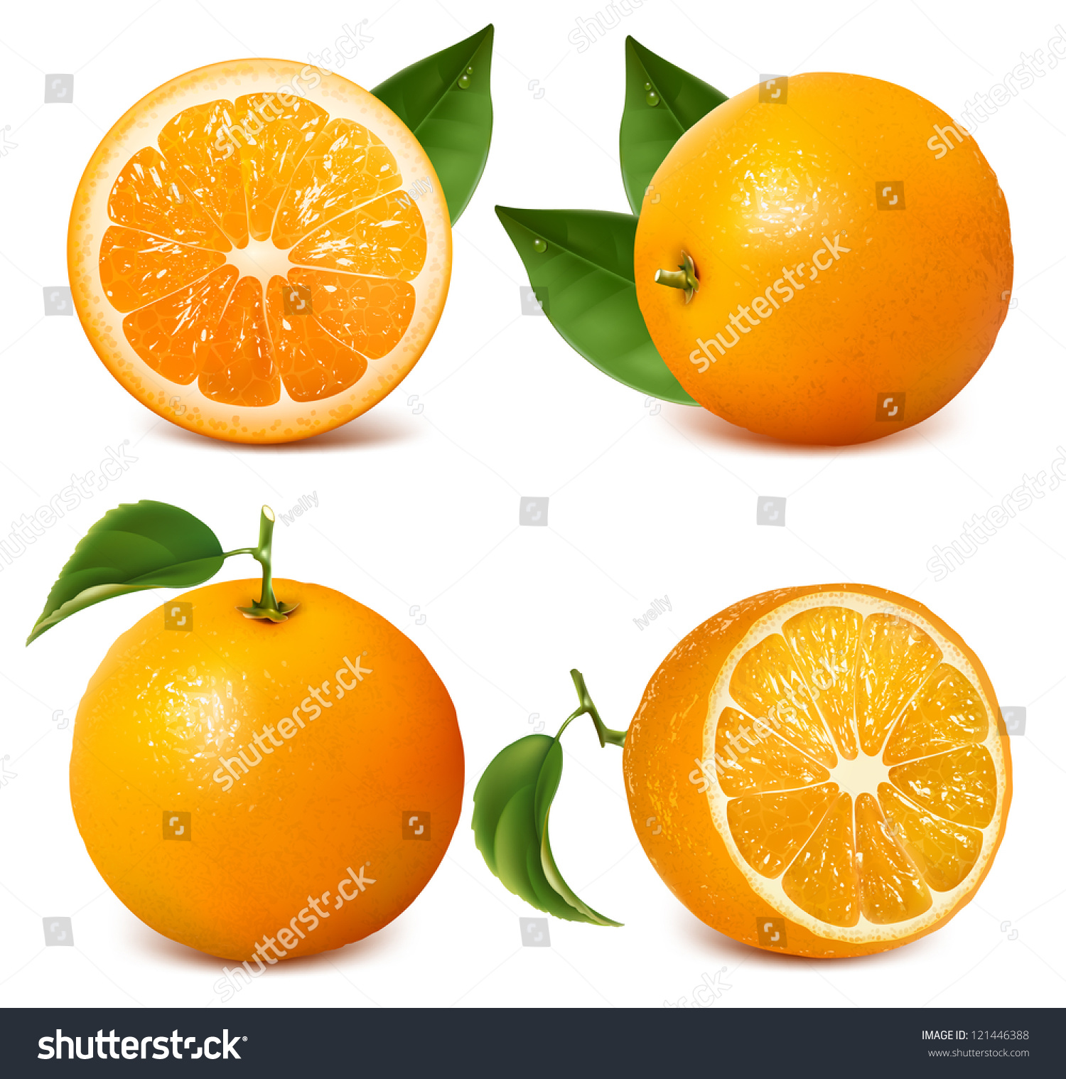 Set Fresh Ripe Oranges Leaves Rasterized Stock Illustration ...