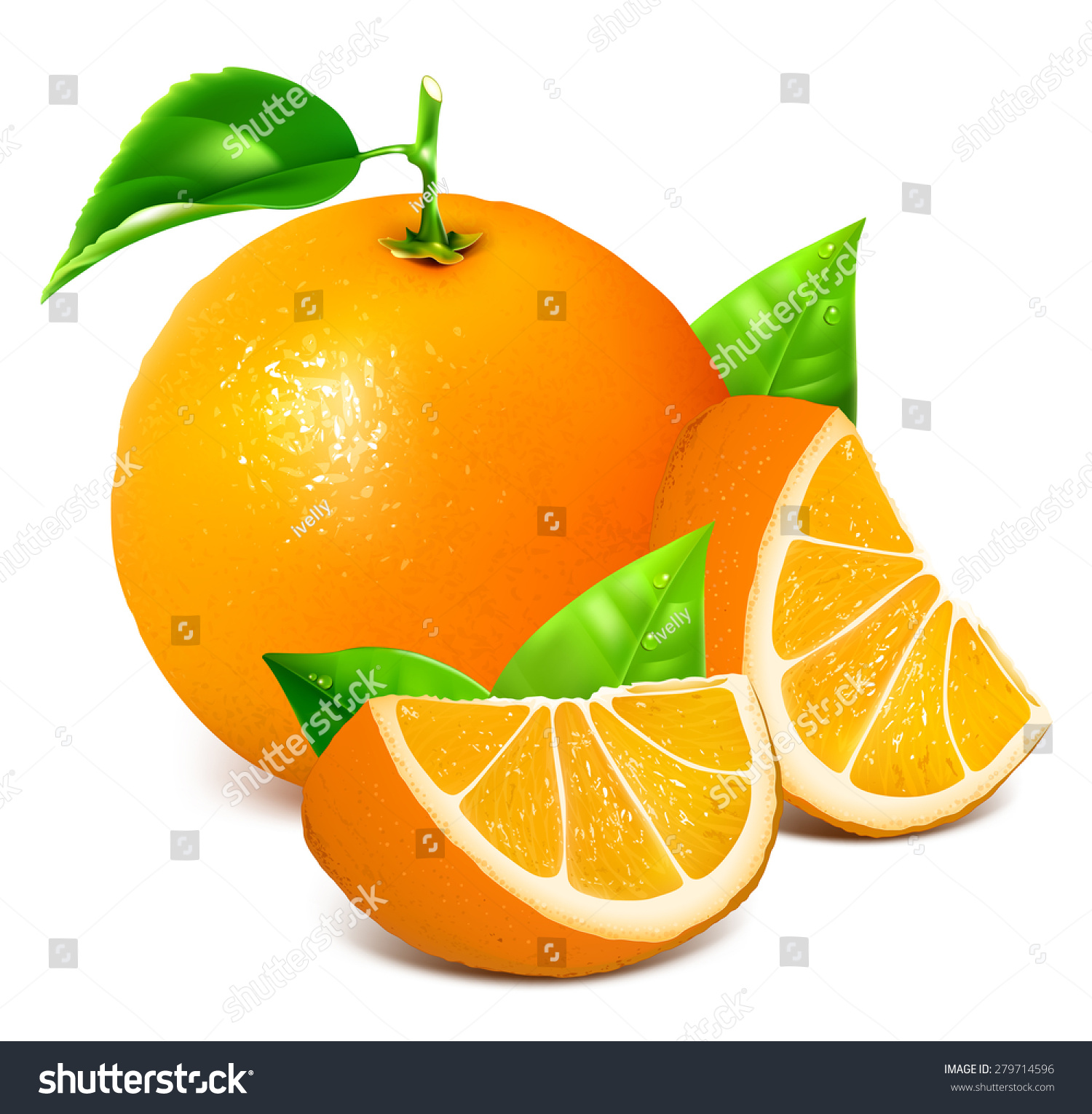 Fresh Ripe Oranges Leaves Vector Illustration Stock Vector 279714596 ...