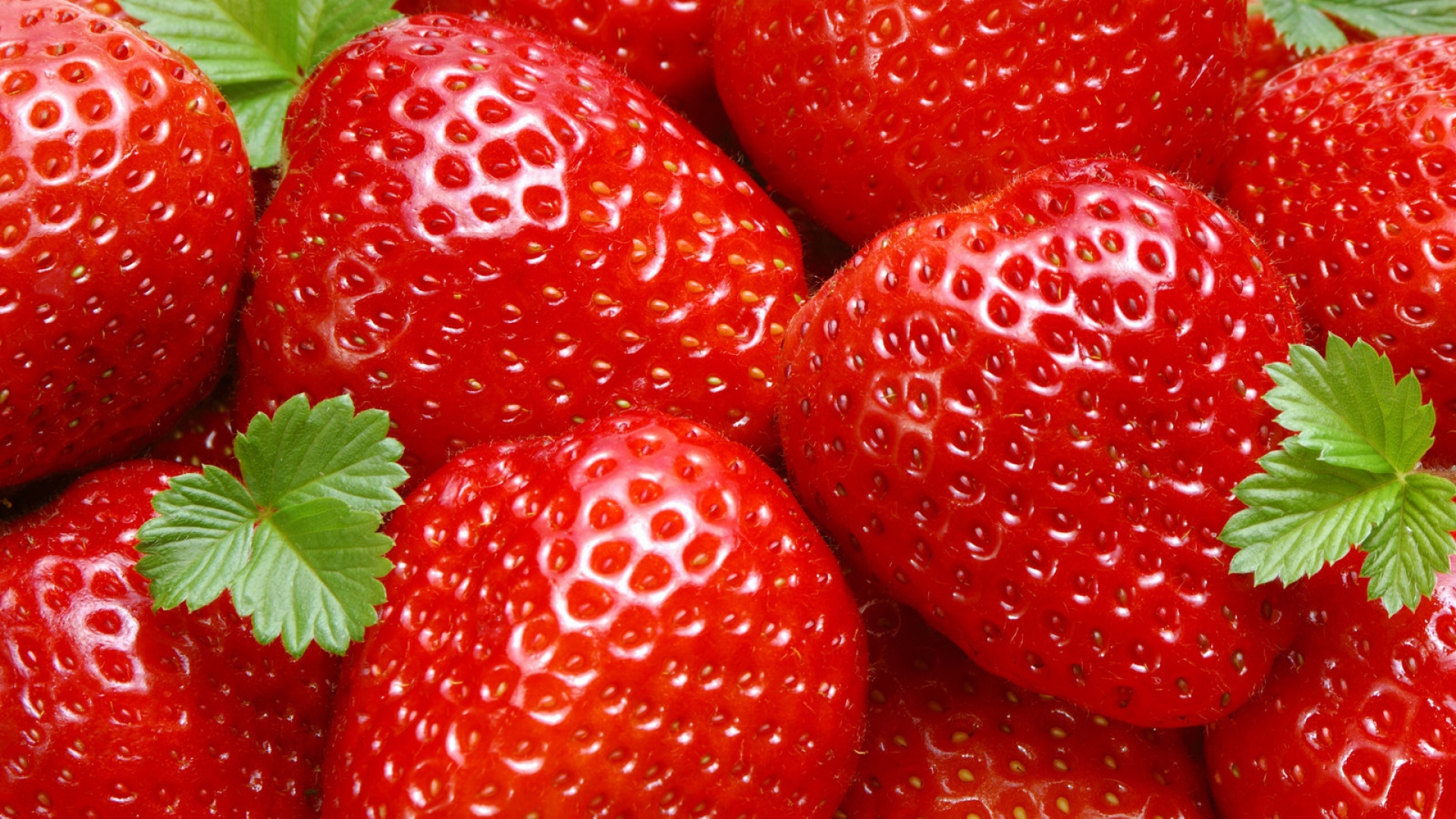 Download Wallpaper 1920x1080 berry, ripe, strawberries, red Full HD ...