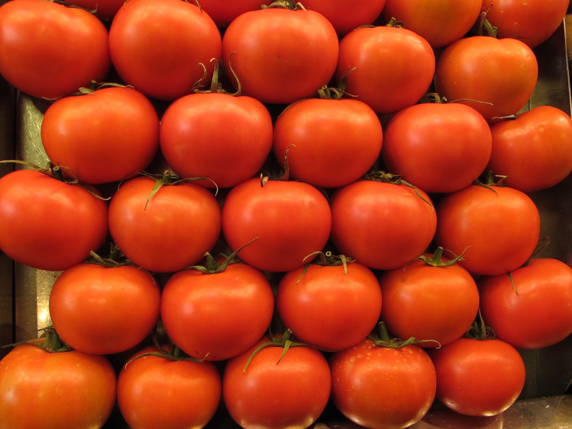 File:Ripe tomatoes.JPG - Wikimedia Commons