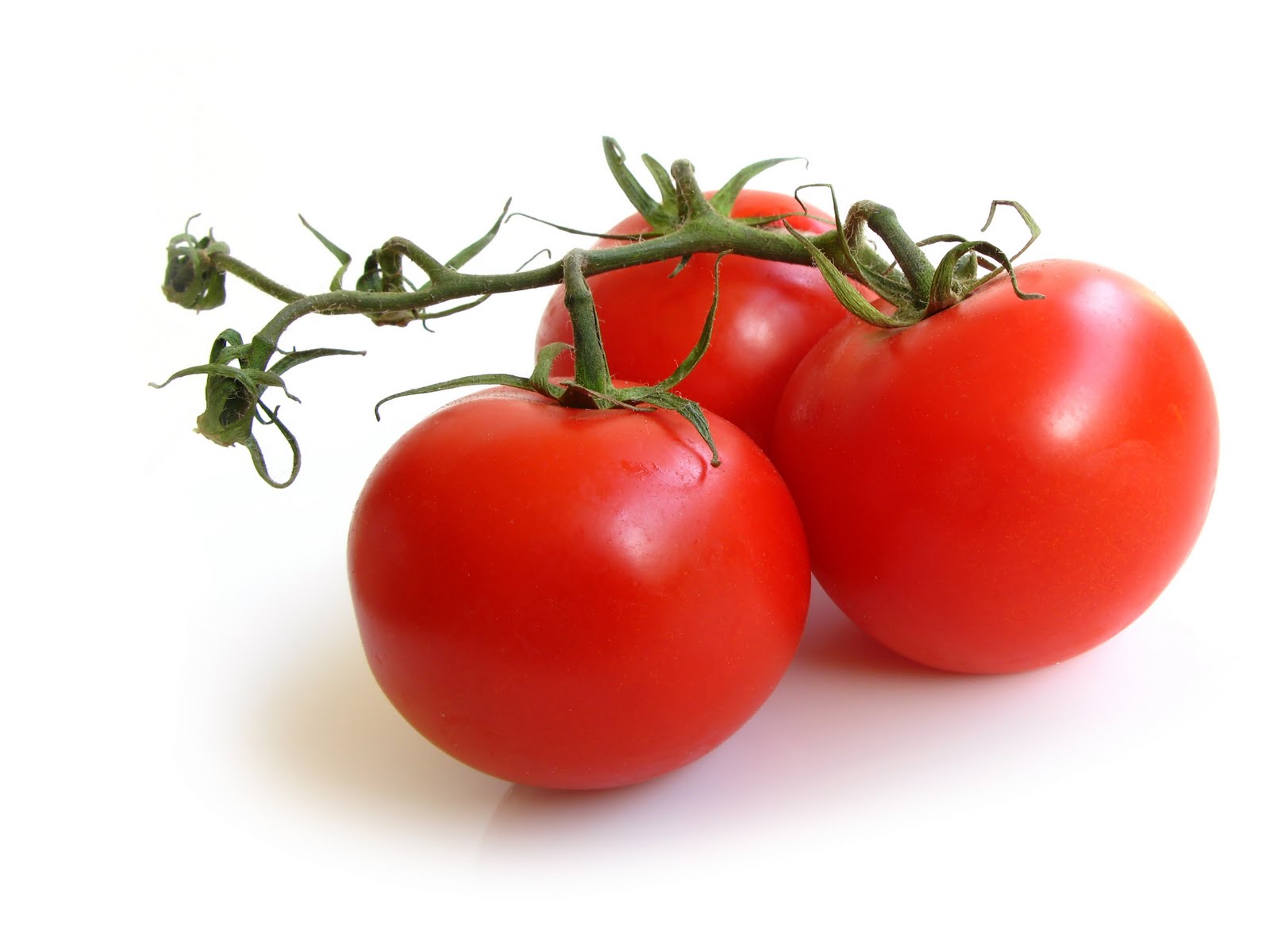 JPRchitect + Design: Vine Ripe Tomatoes and Salsa!