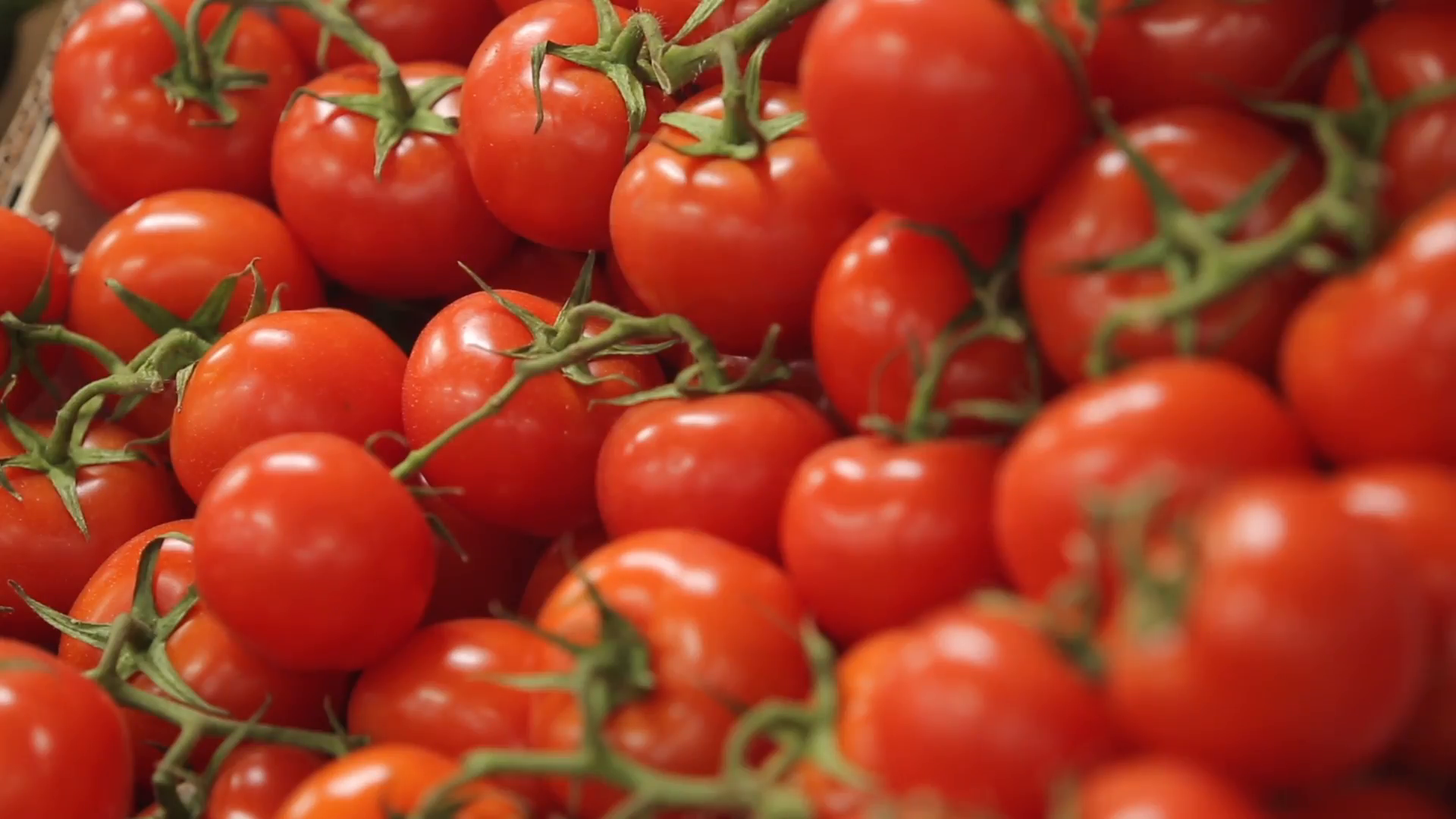 Red ripe tomatoes with green sprigs Stock Video Footage - Videoblocks