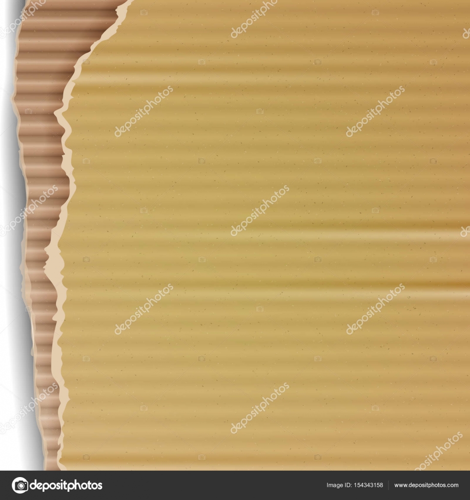 Corrugated Cardboard Vector Background. Realistic Ripped Carton ...