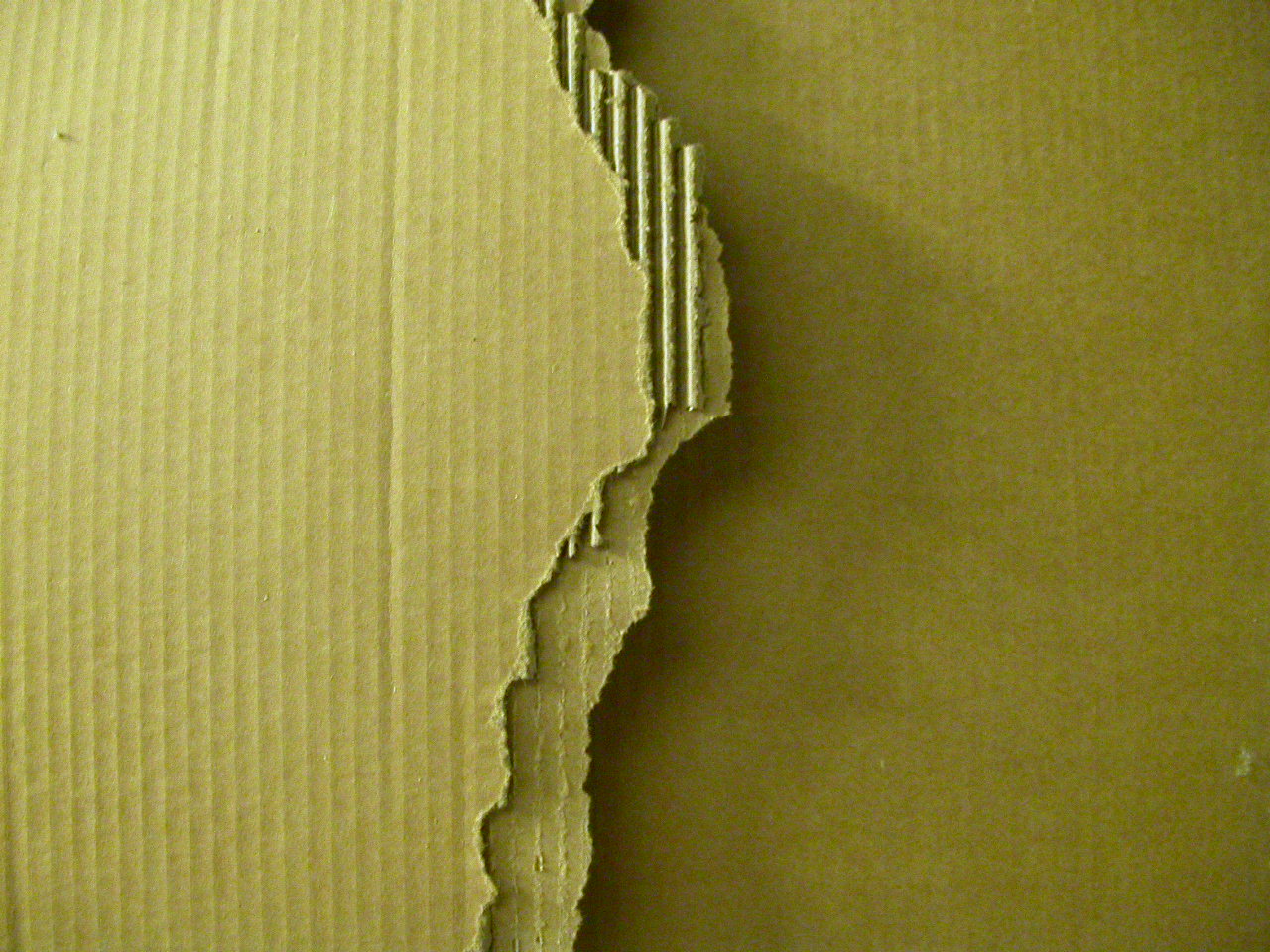 Ripped cardboard photo