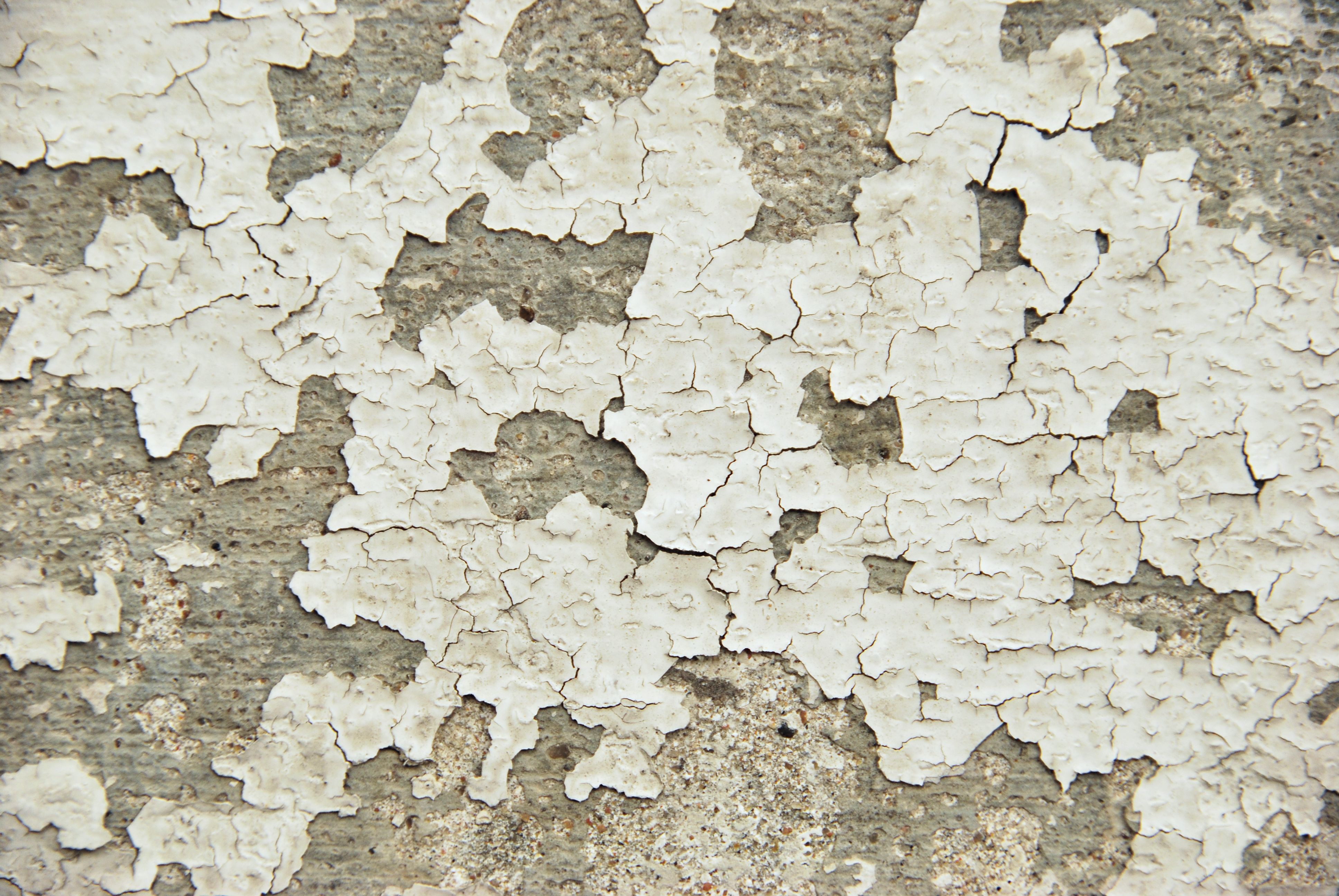 Free photo: Ripped wallpaper - Home
