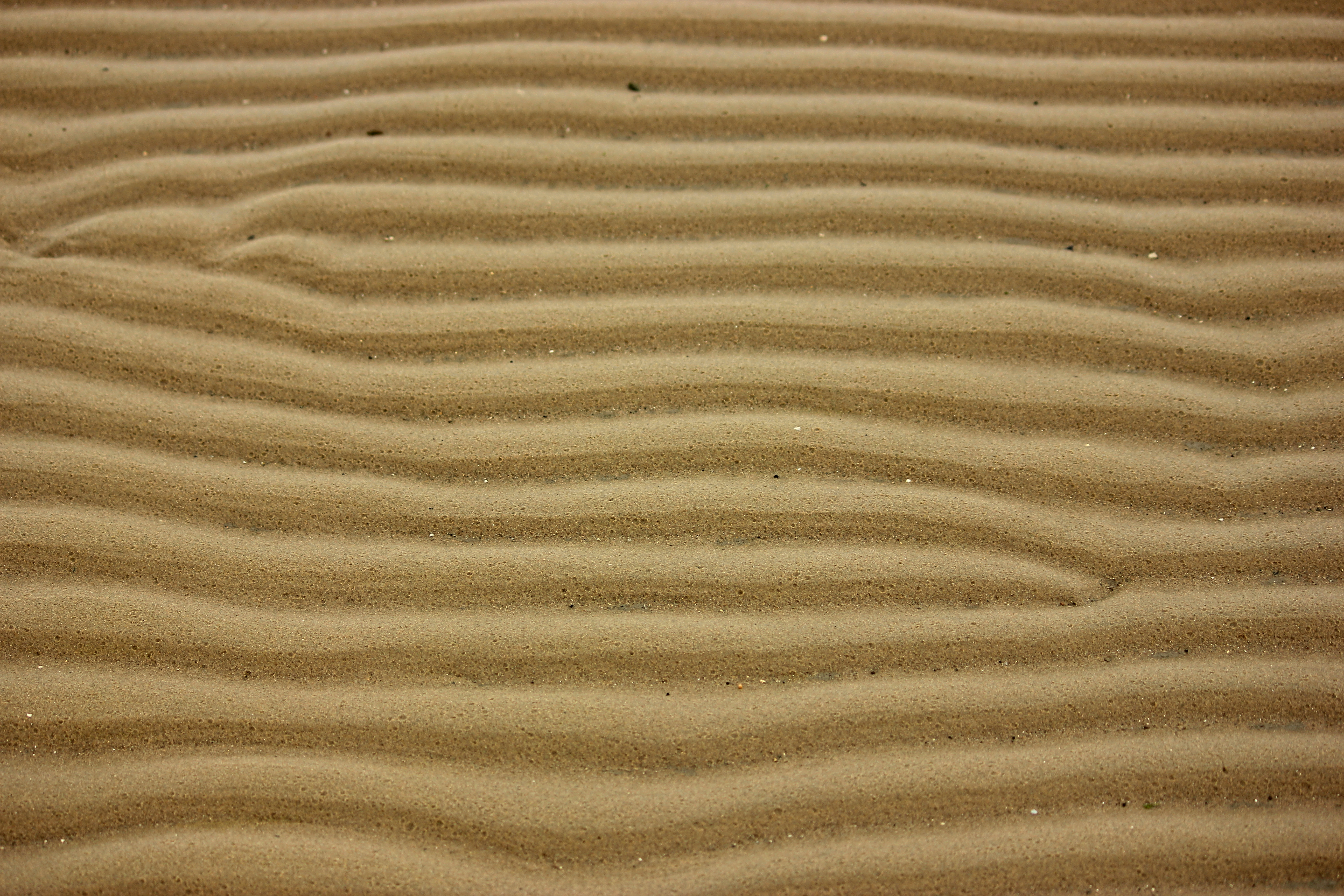 Ripples in the sand photo