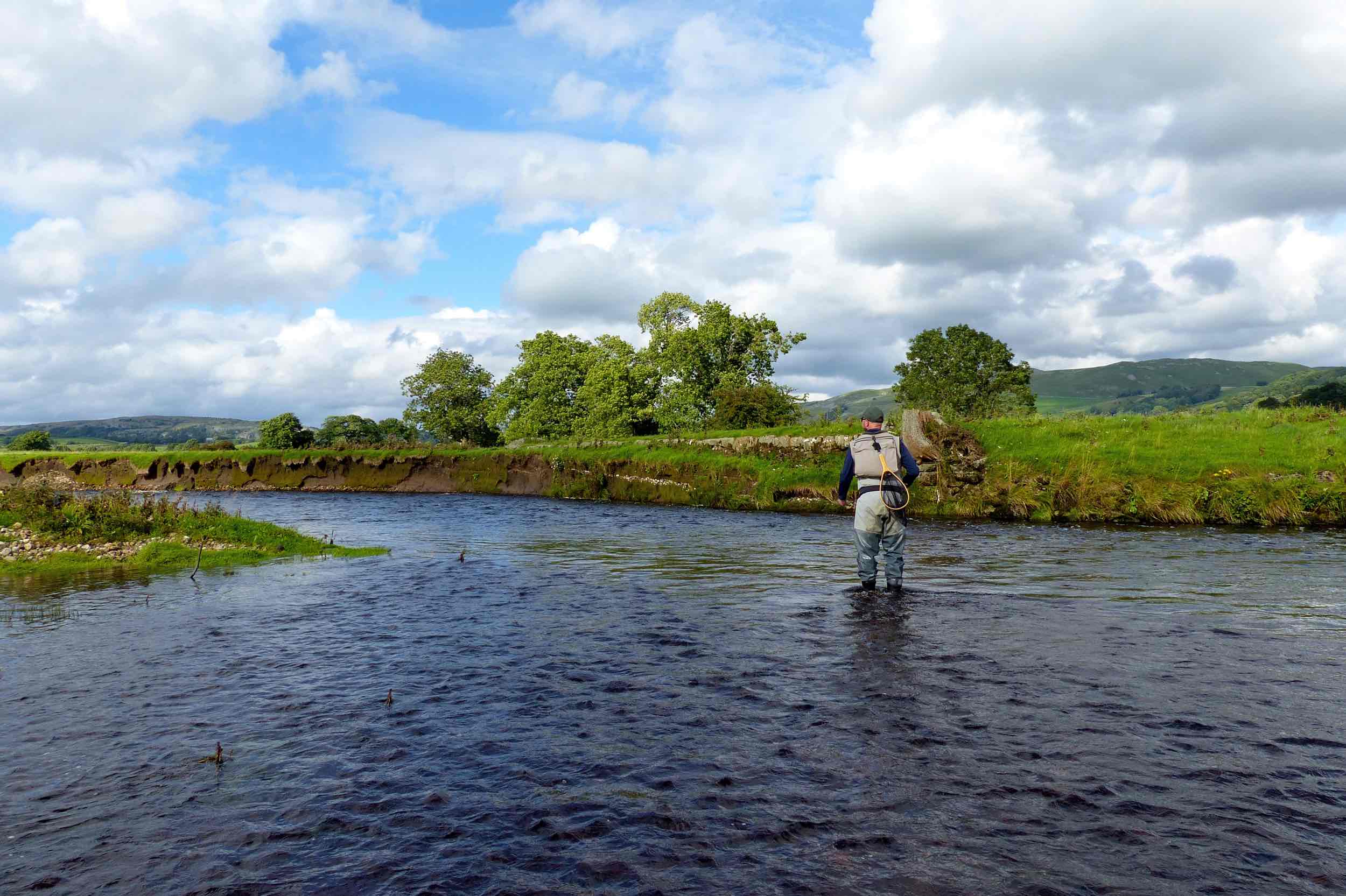 River Ribble Flyfishing - Yorkshire Dales Fly Fishing