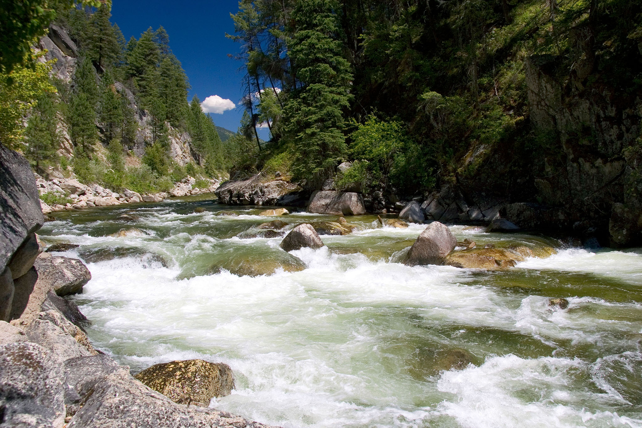 Report Ranks 10 Most Endangered U.S. Rivers