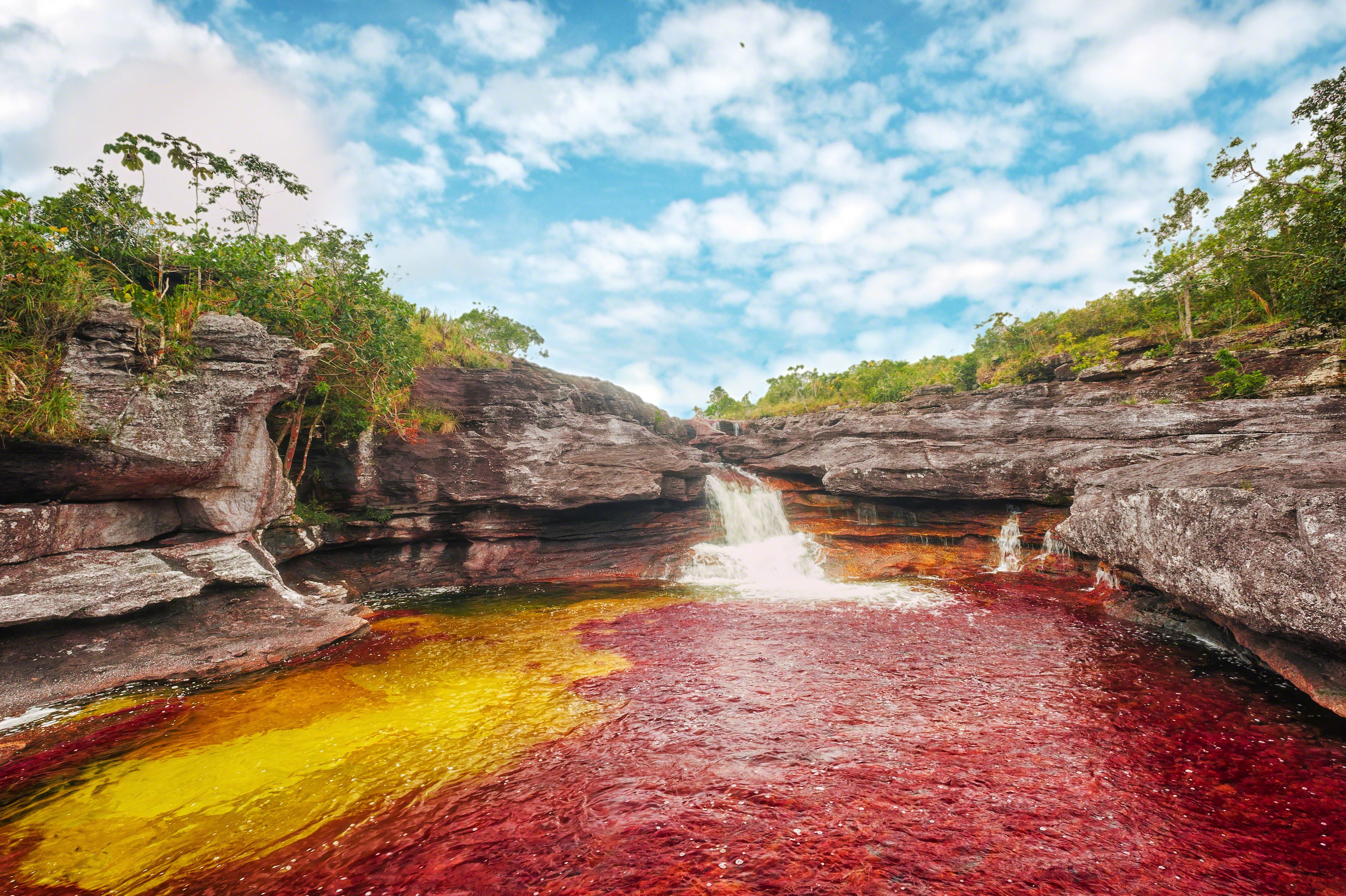 Visiting Caño Cristales, the Rainbow River - Traveleering