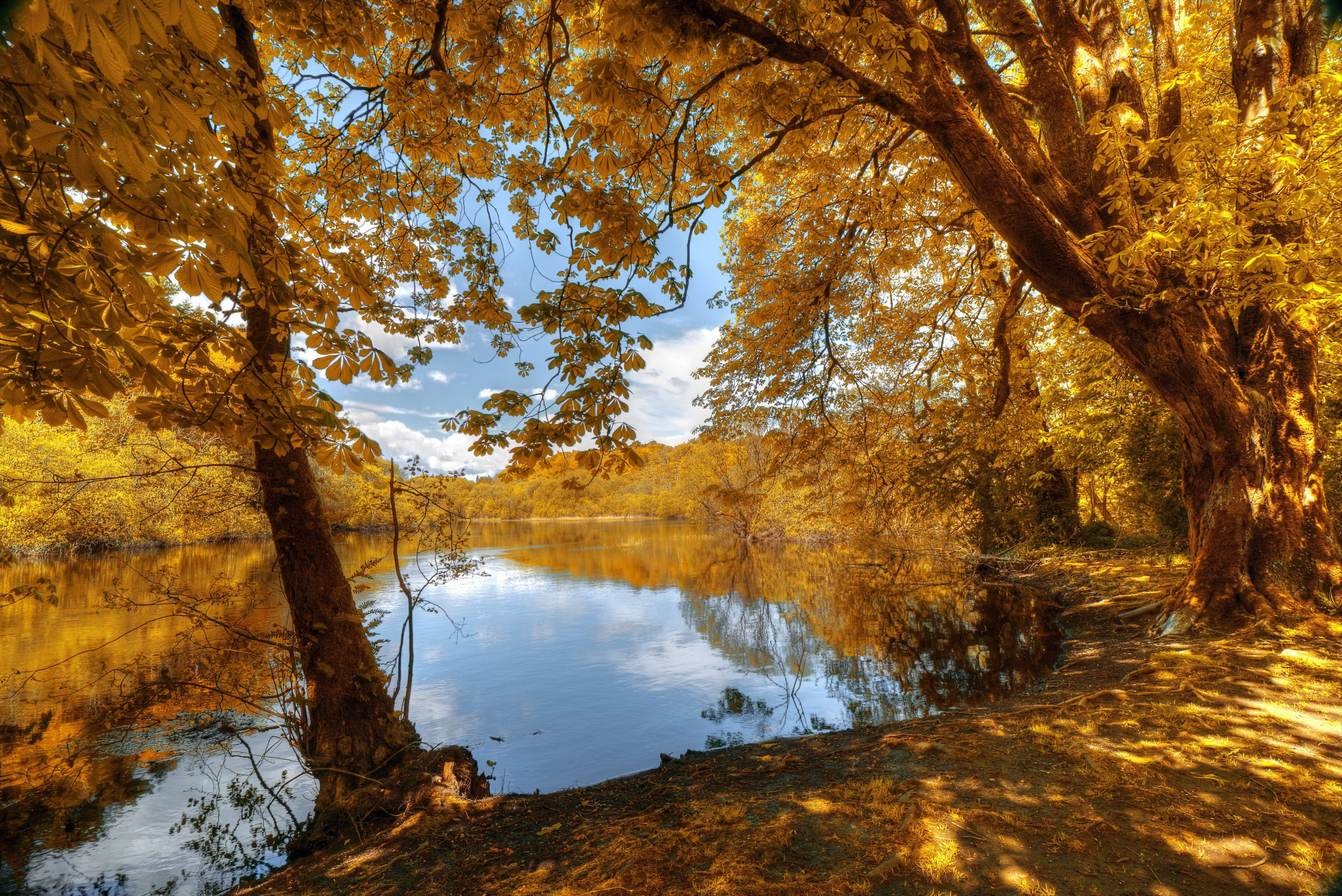 Free photo: River autumn reflections - Autumn, Sunny, Reflection - Free