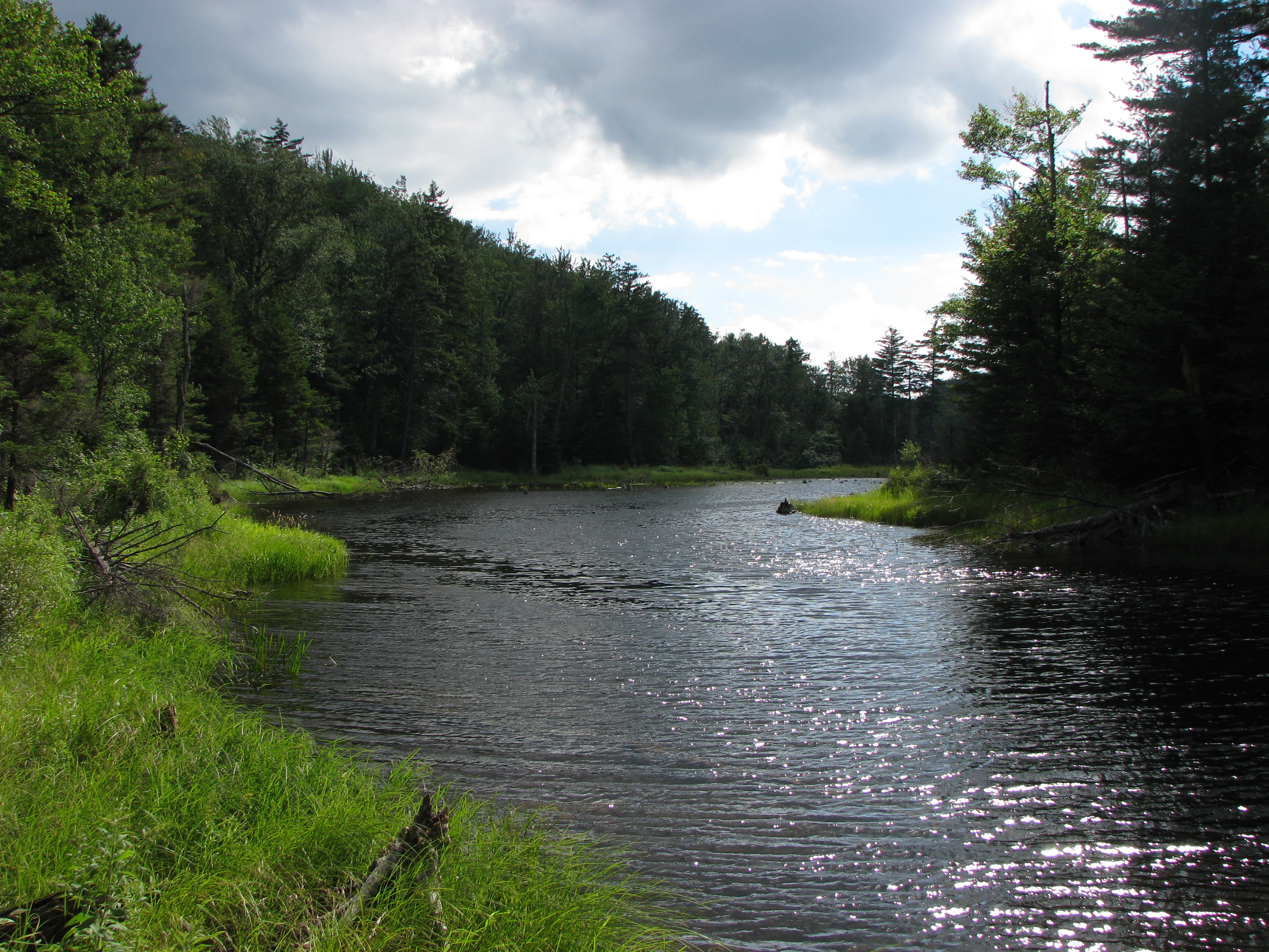 File:Bog River Flow, St Lawrence County, NY.JPG - Wikimedia Commons
