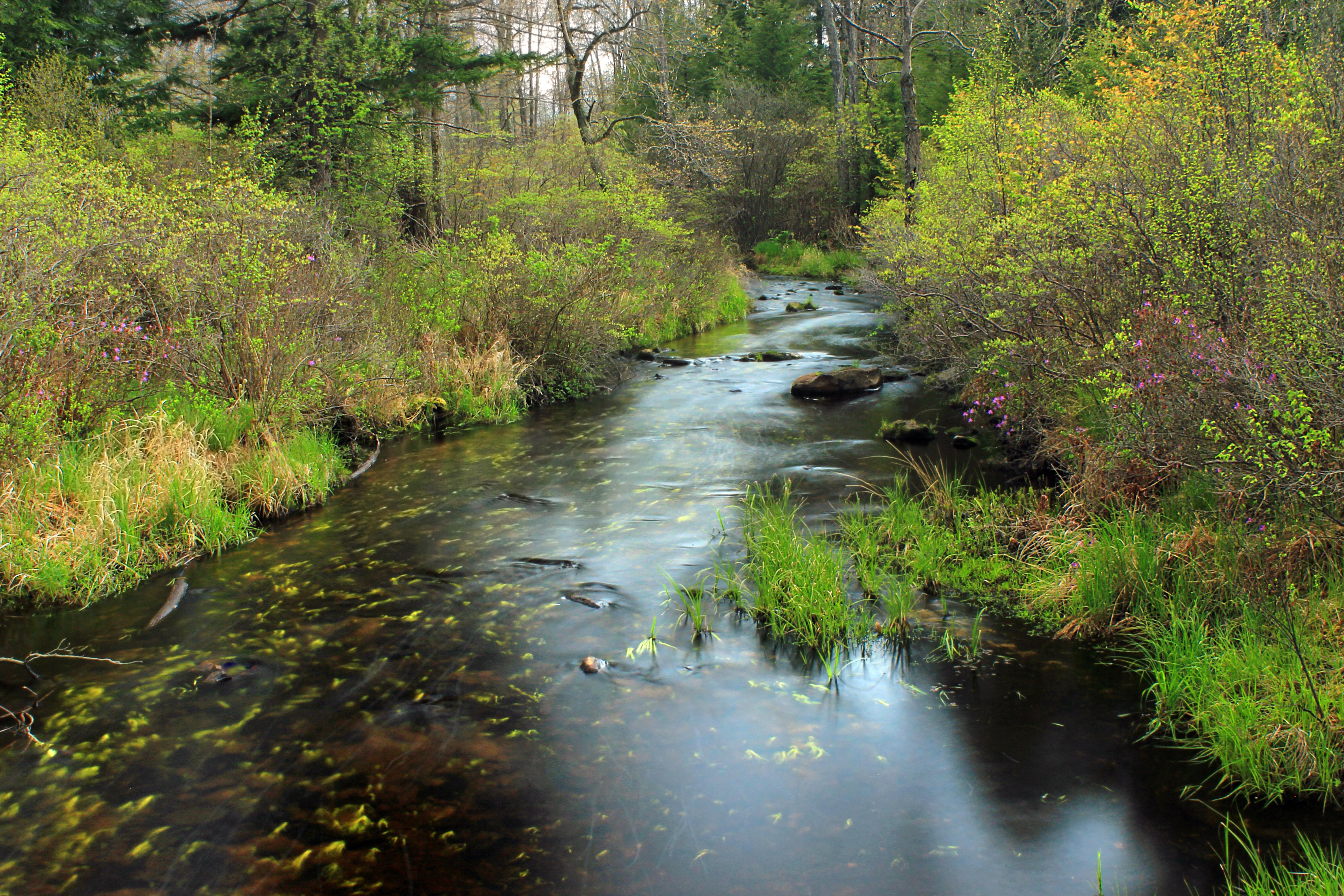 Free photo: River Landscape - Flow, Lake, Landscape - Free Download
