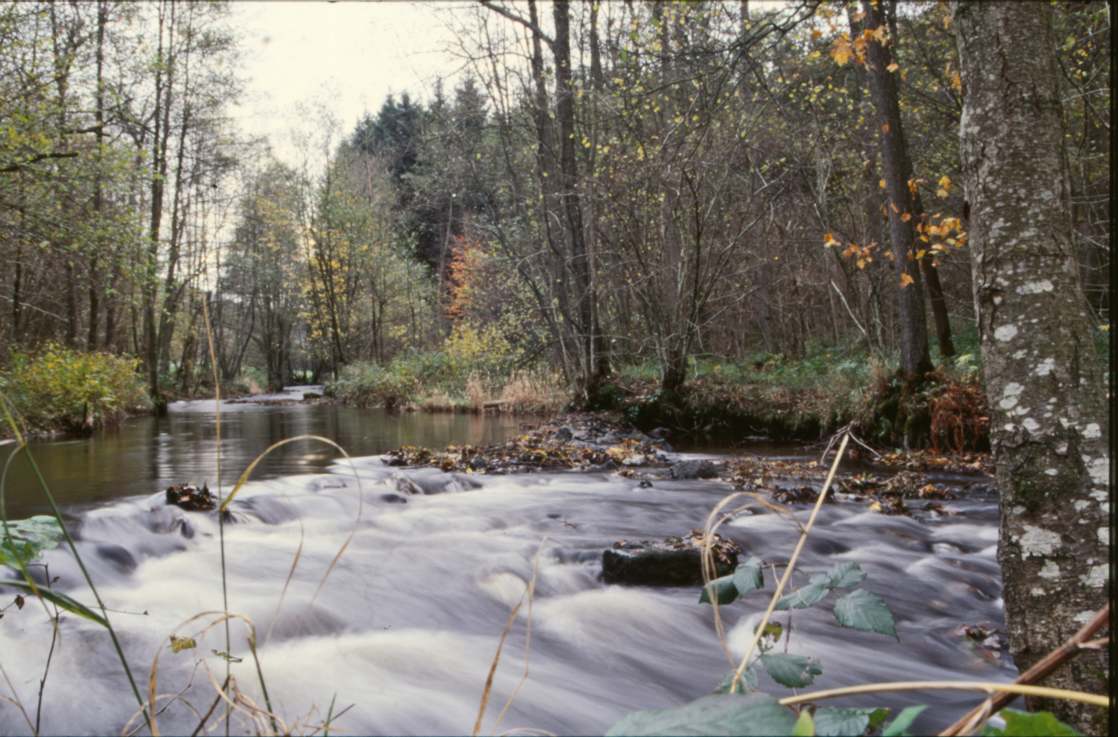 River landscape photo