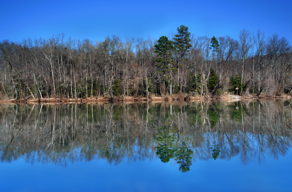 River reflections photo