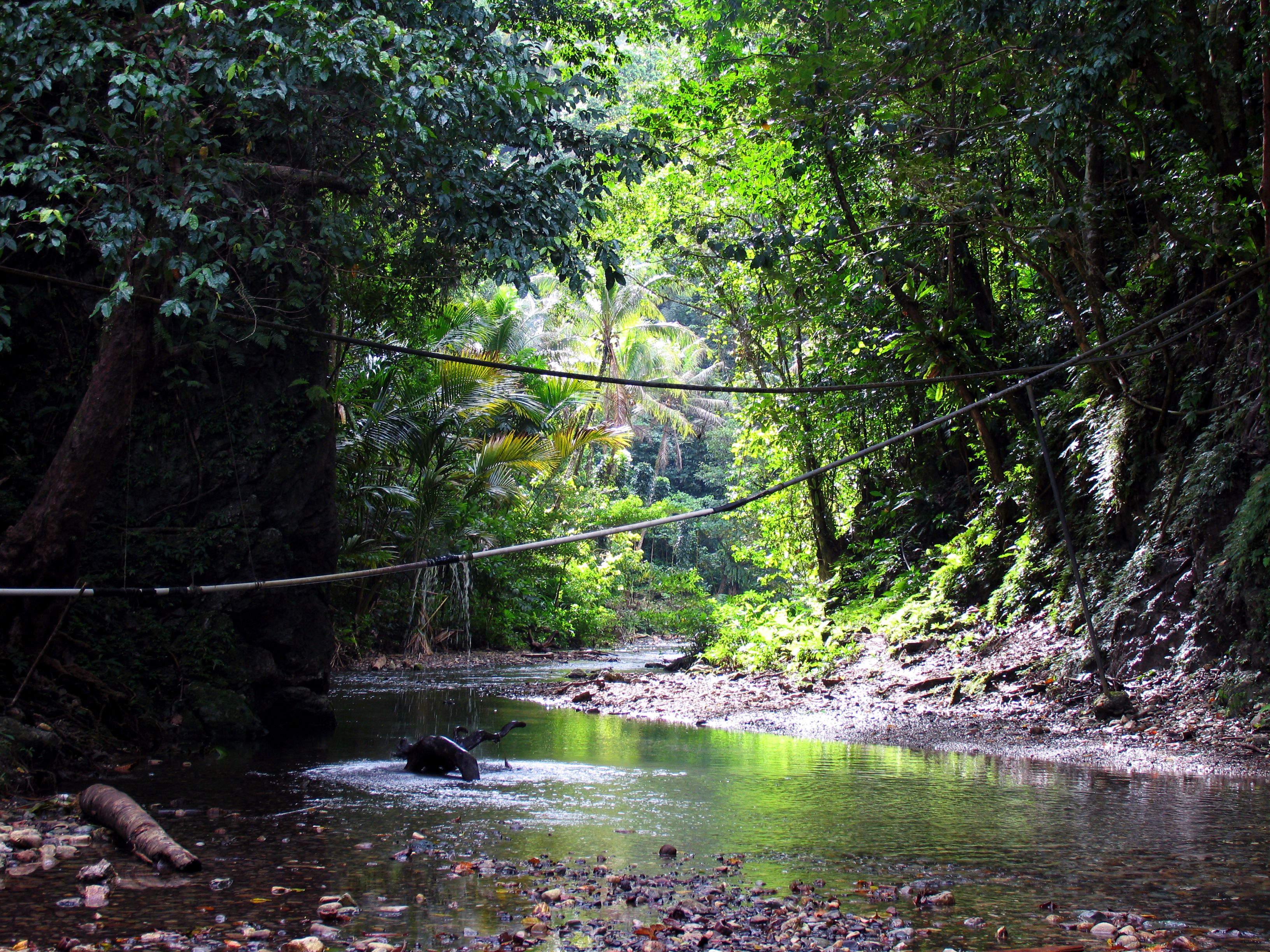 File:A quiet river scene in Malaita. A water pipe stretches across ...
