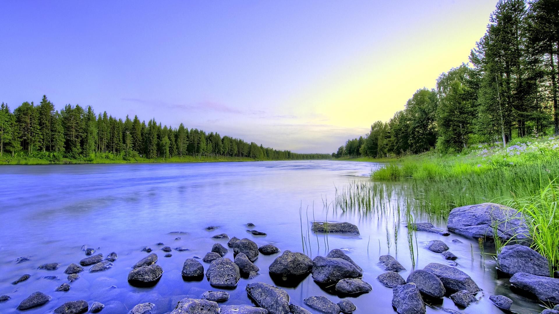 River Purple Rocks Fabulous View Forest Picture Gallery ~ River HD ...