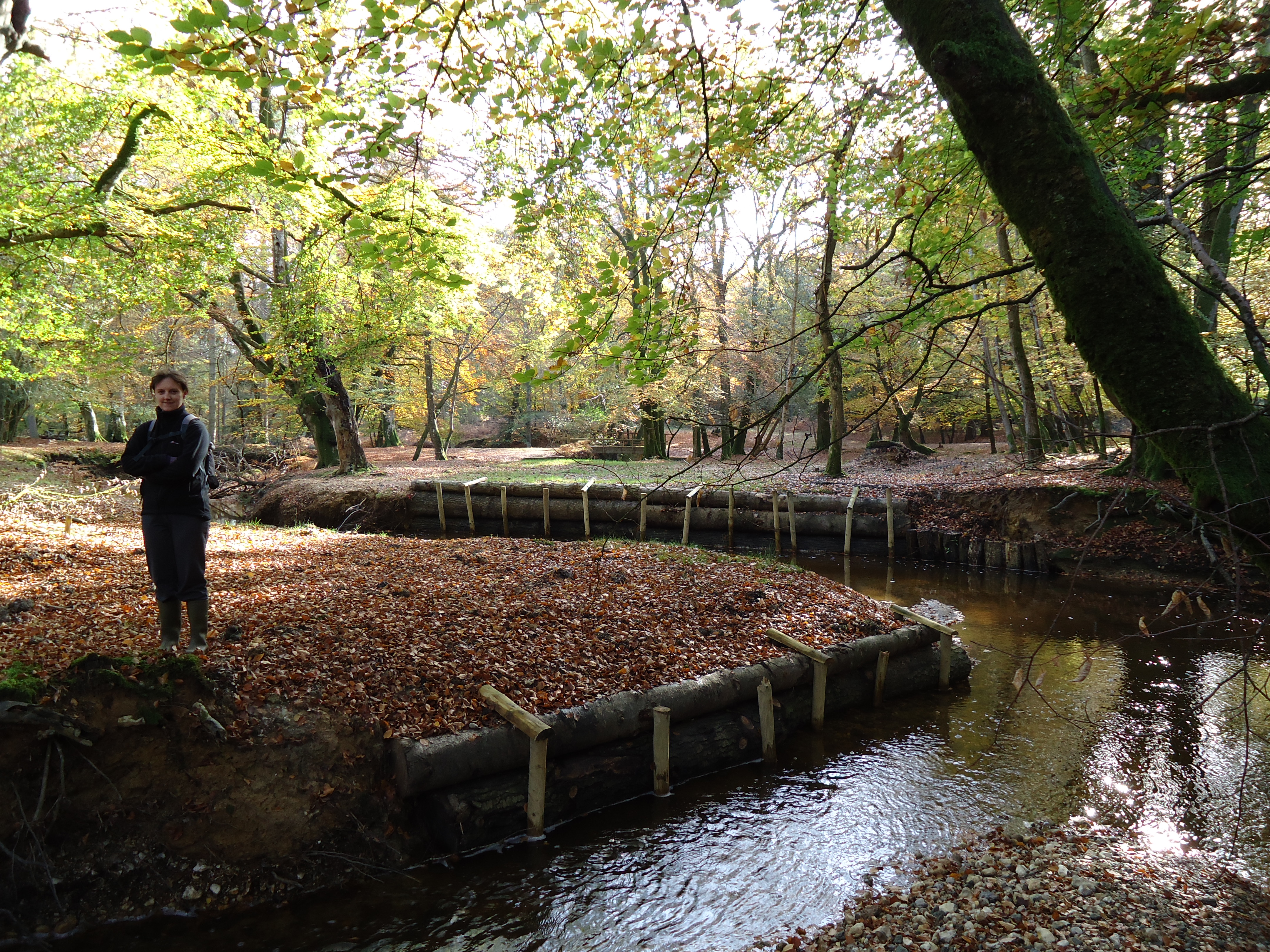 Erosion Control and river restoration success | The River Management ...