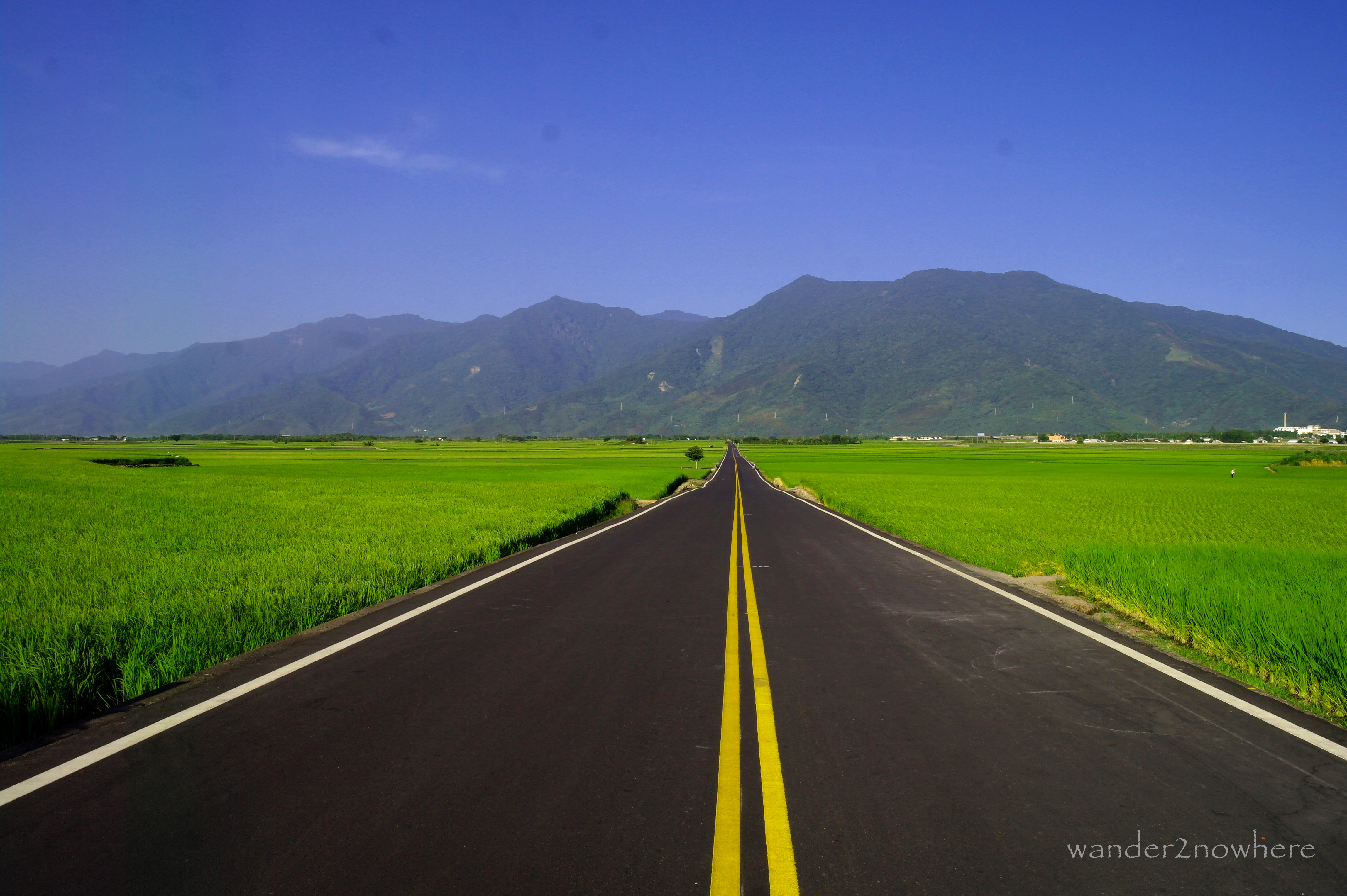 Photo of the Week: The Green Road of Paradise - GoMad Nomad