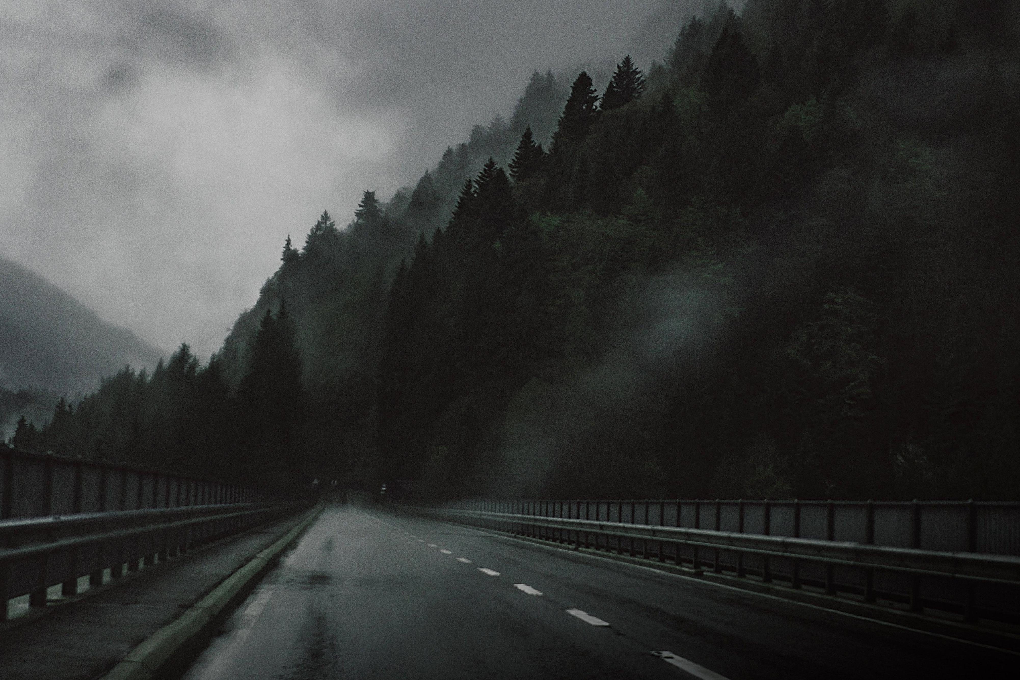 Free picture: dark, forest, road, way, highway