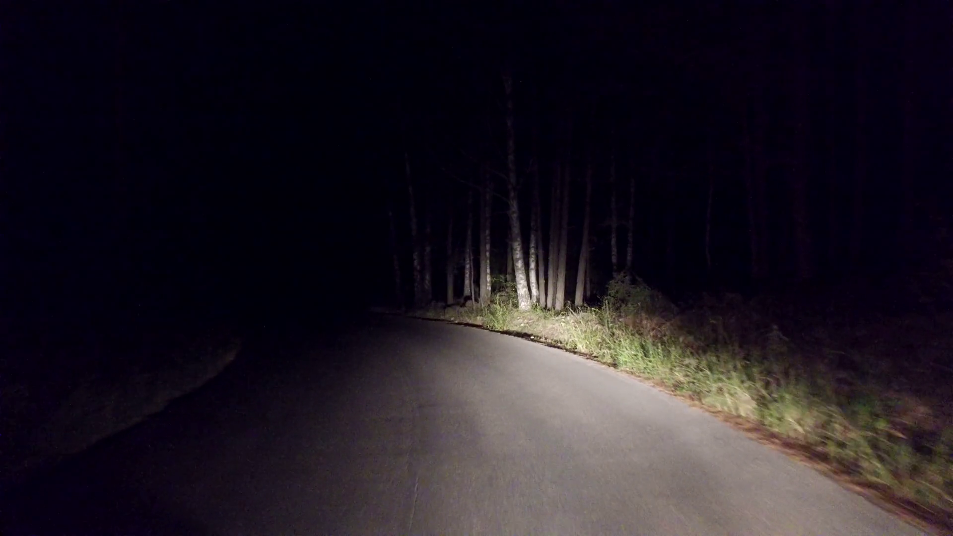 Timelapse Fast Driving on rural forest road at night, pov gopro ...