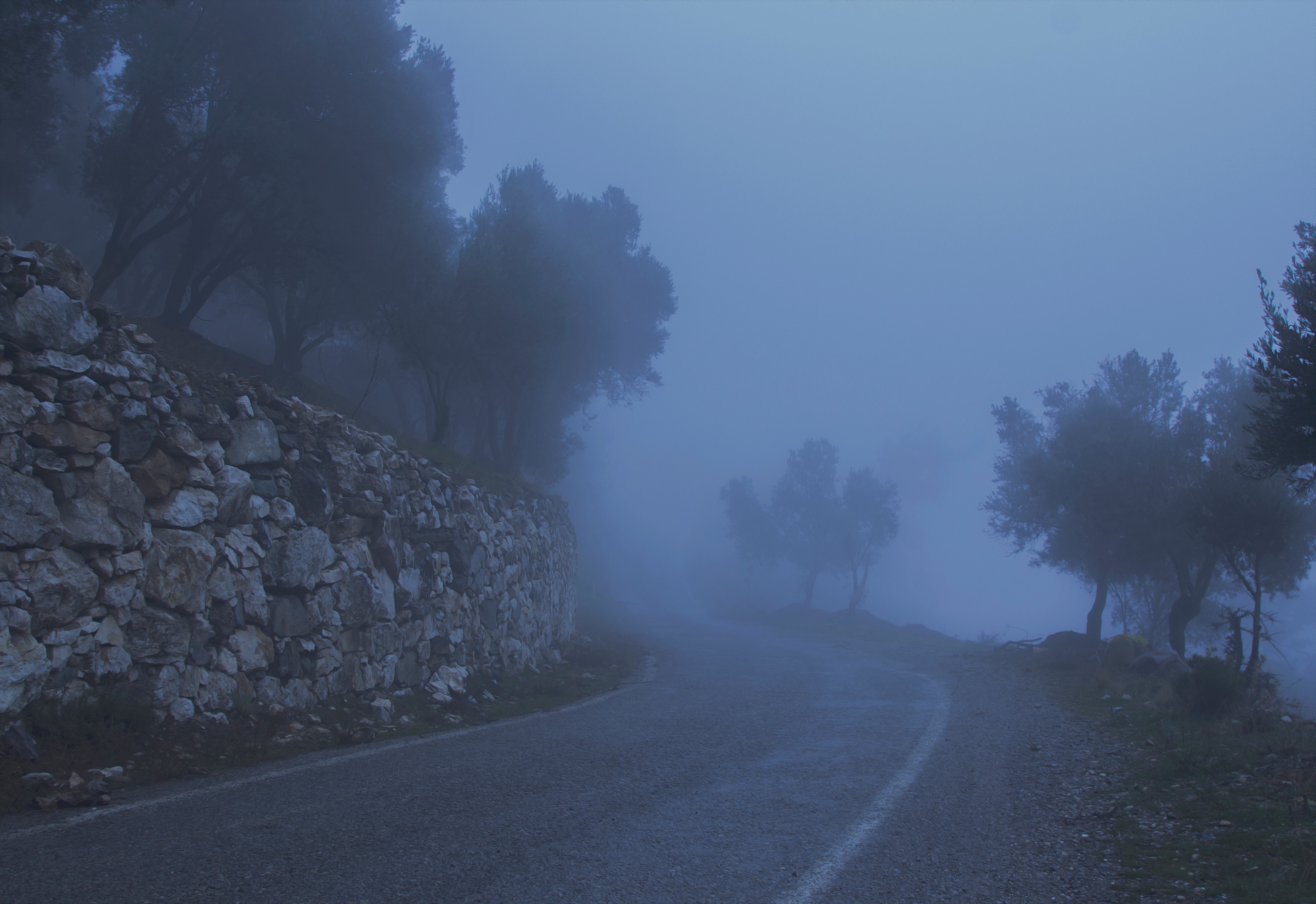 Road between trees and a cliff covered with fog photo