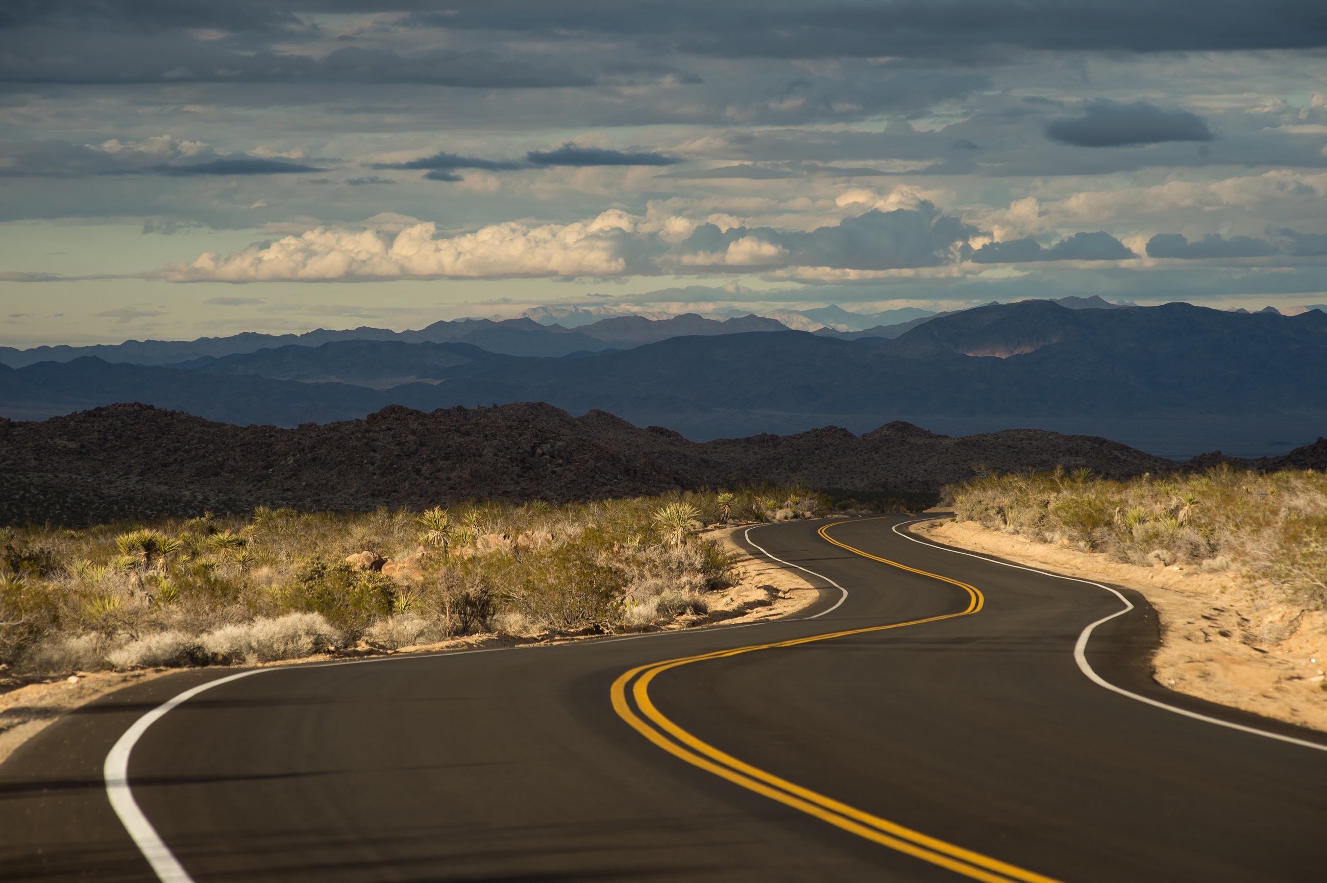 Road through the desert photo
