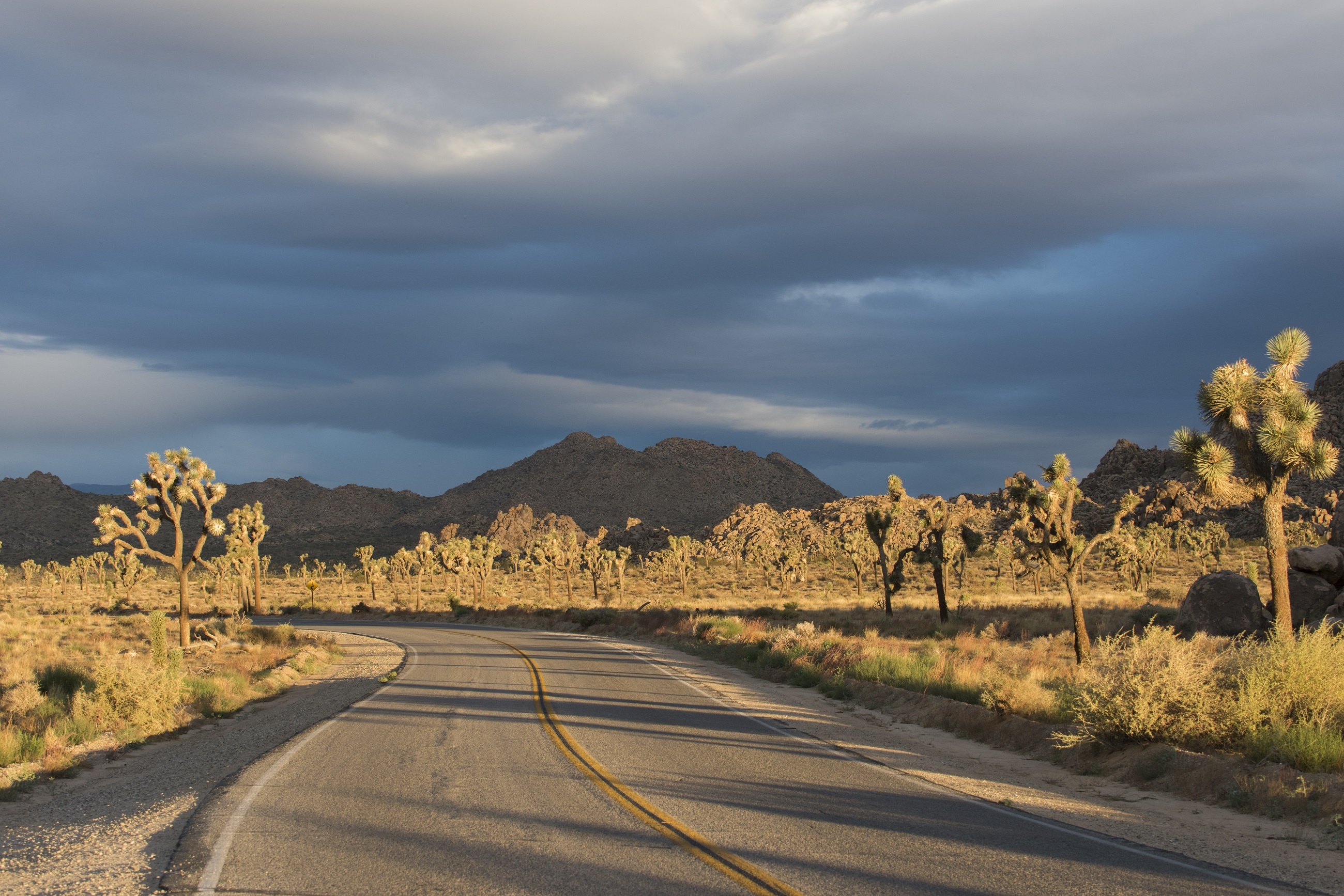 Road through the desert photo