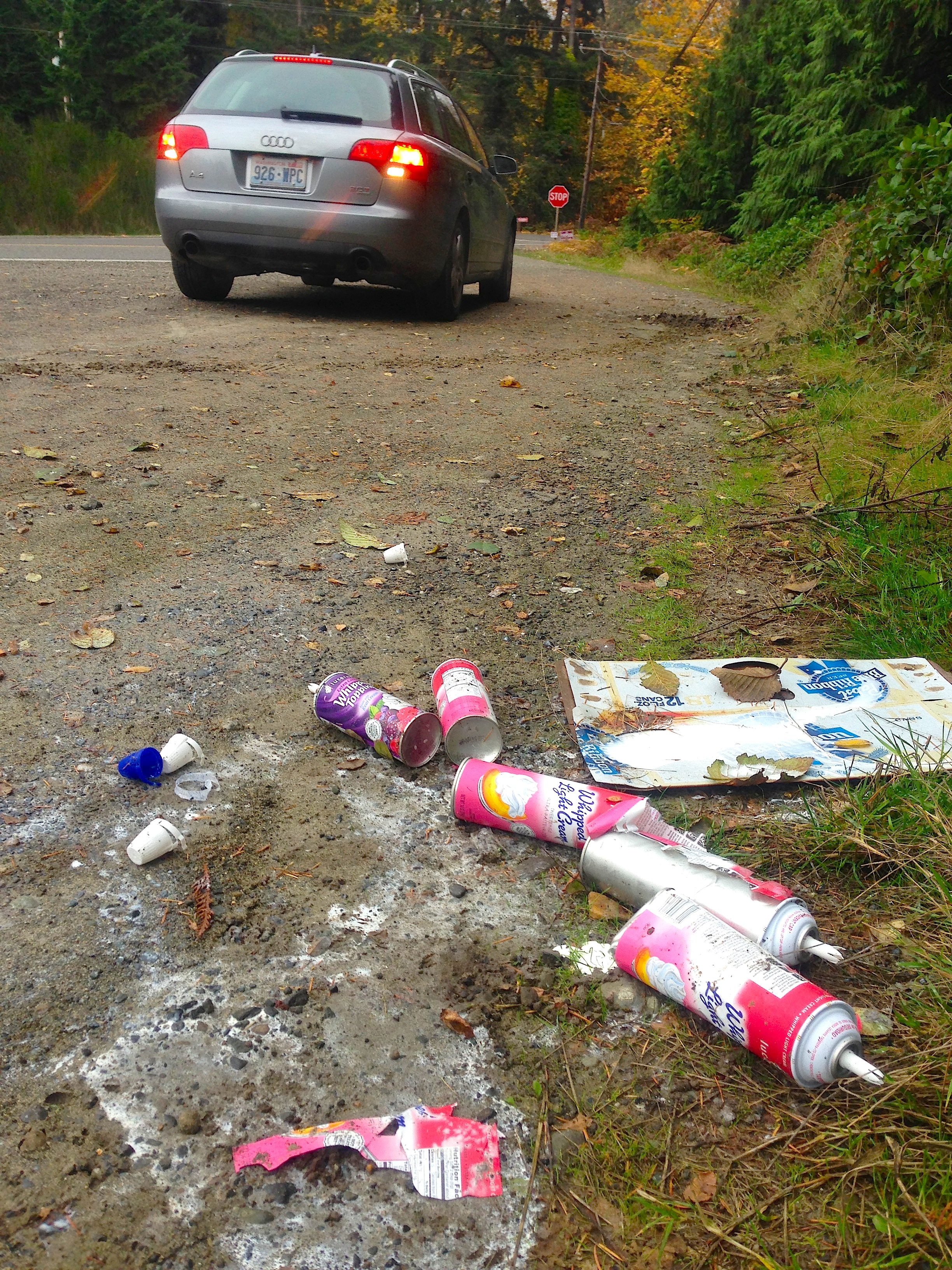 Roadside trash photo