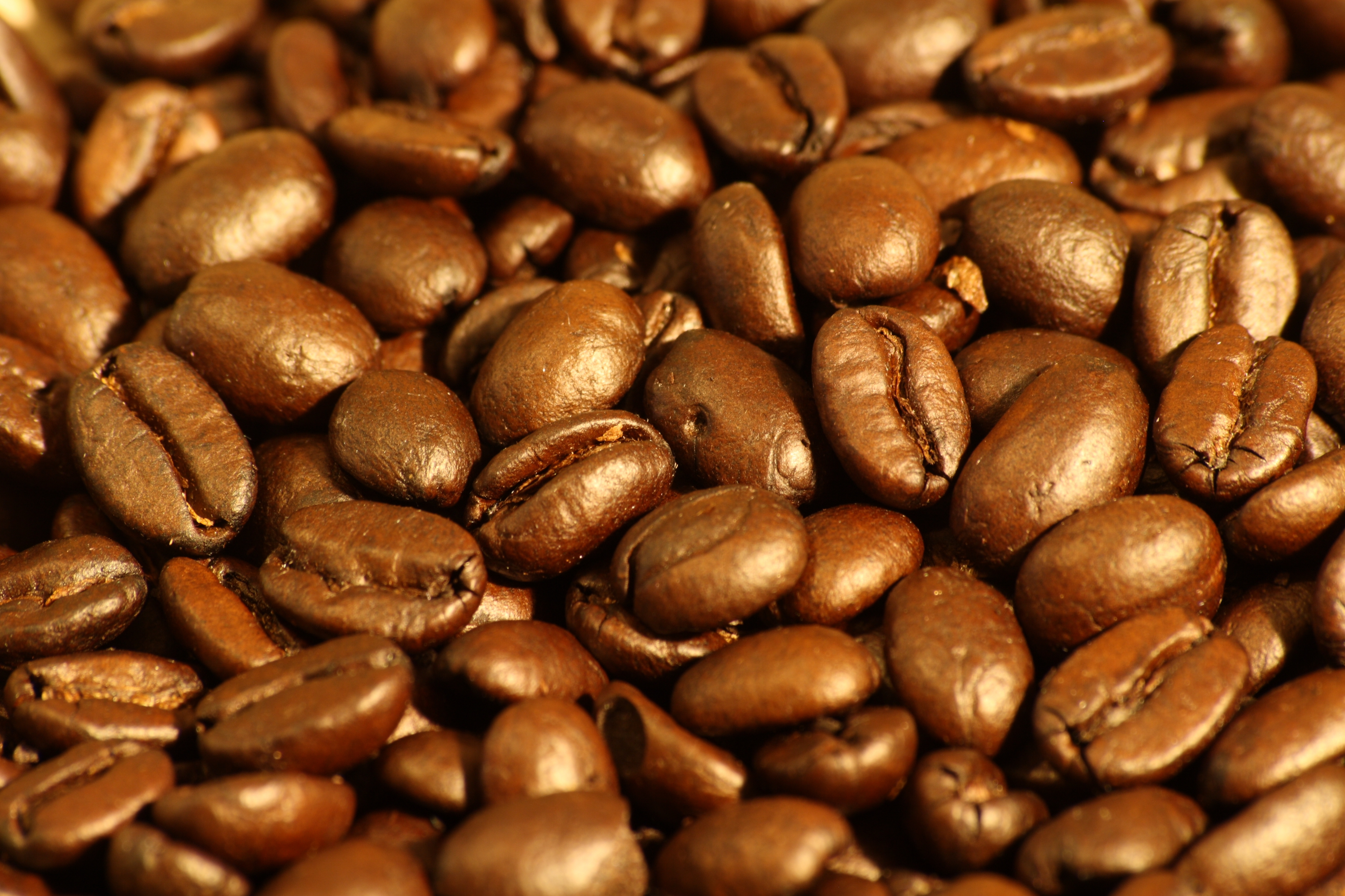 File:Dark roasted espresso blend coffee beans 1.jpg - Wikimedia Commons