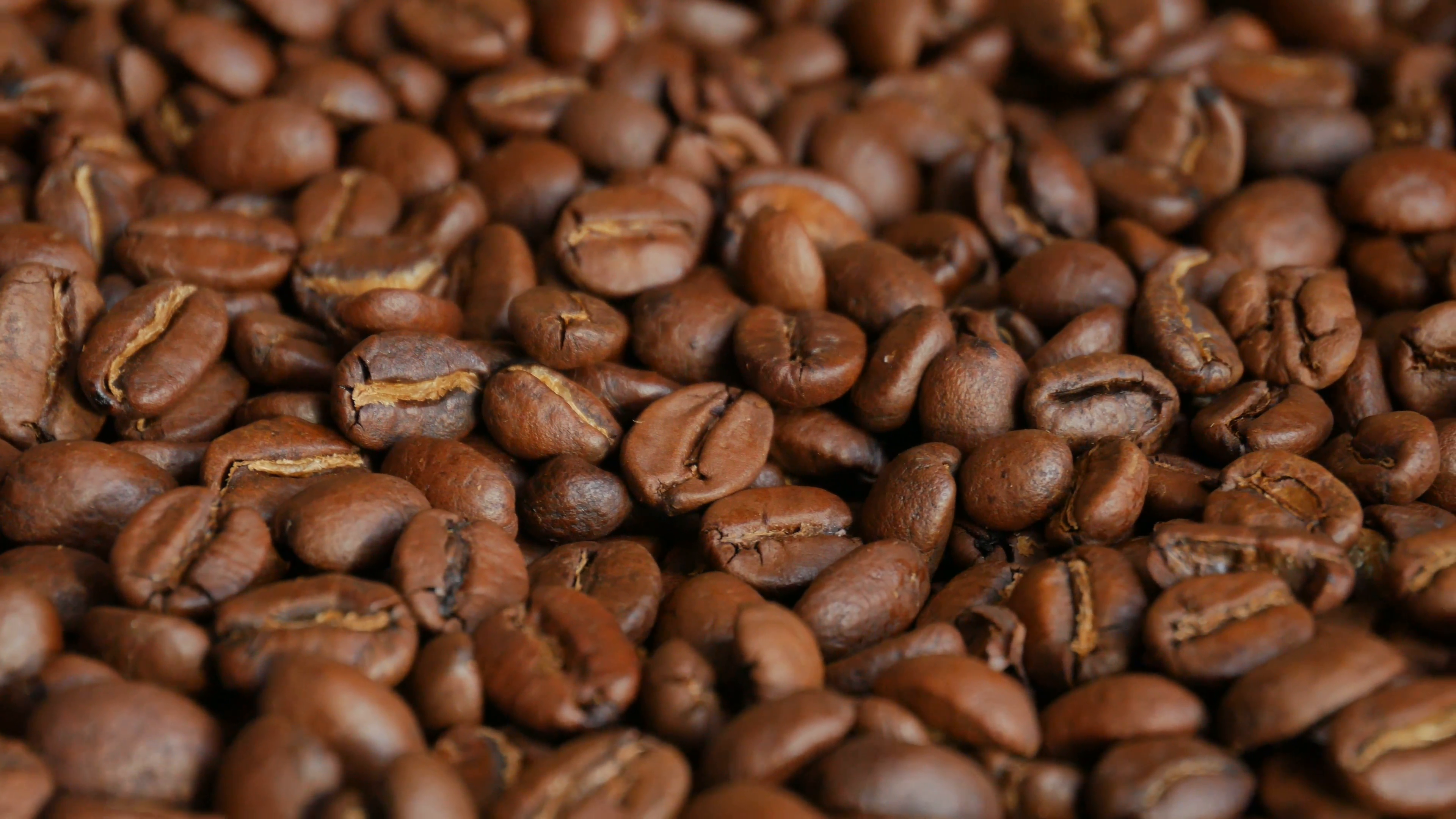 Low angle UHD macro of light roasted coffee beans on rotating stand ...