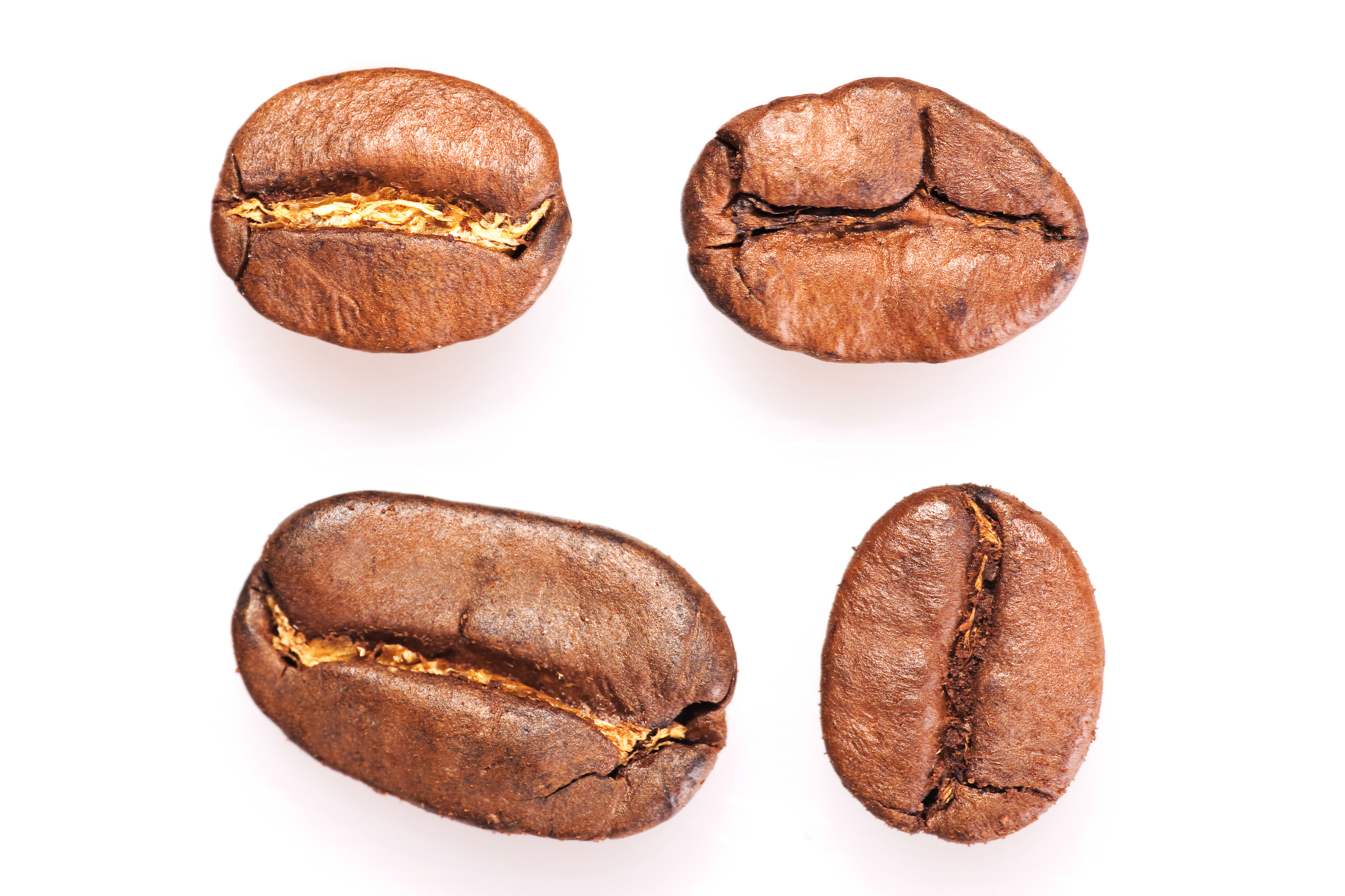 Roasted coffee beans closeup photo