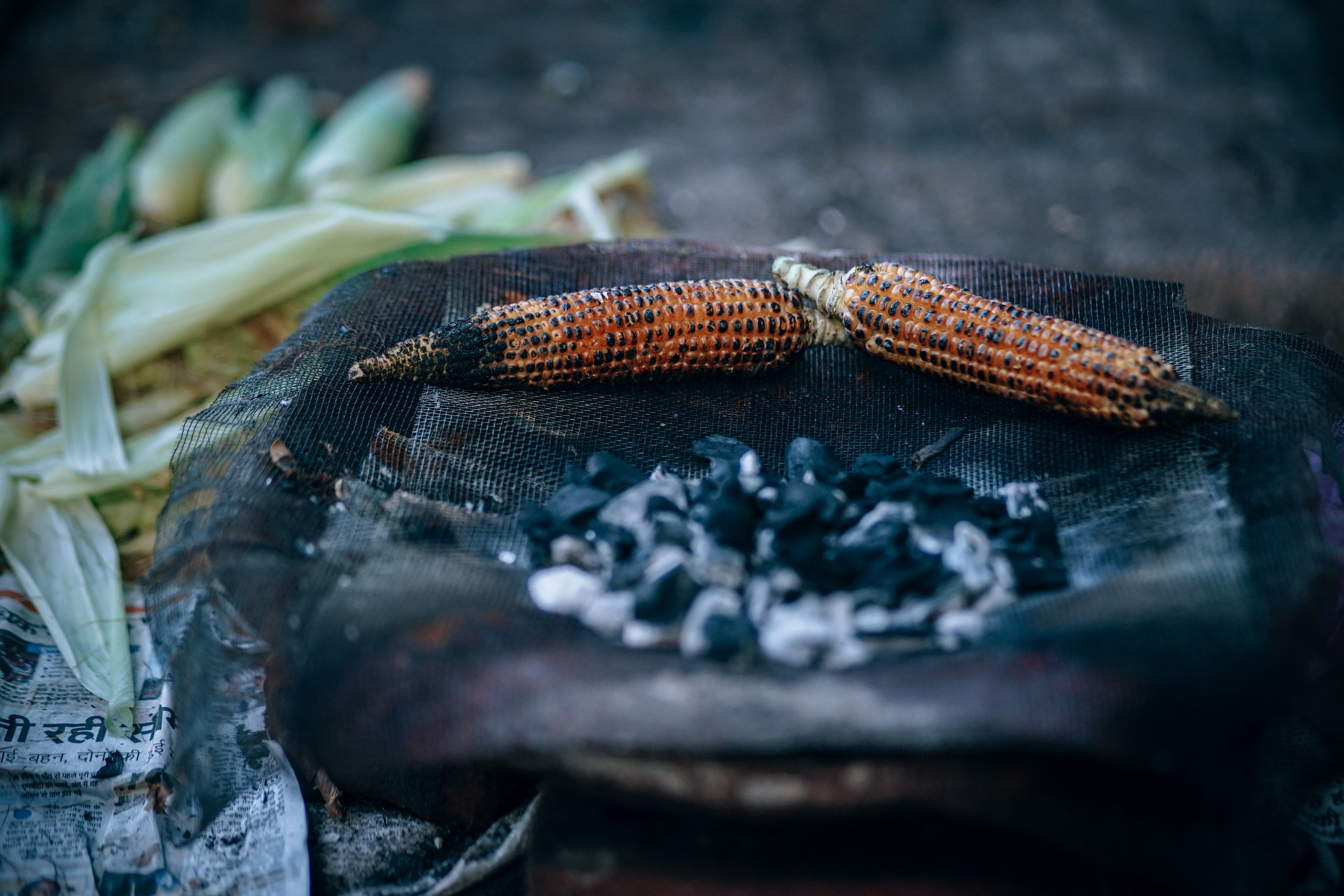 Roasted corn on charcoals photo
