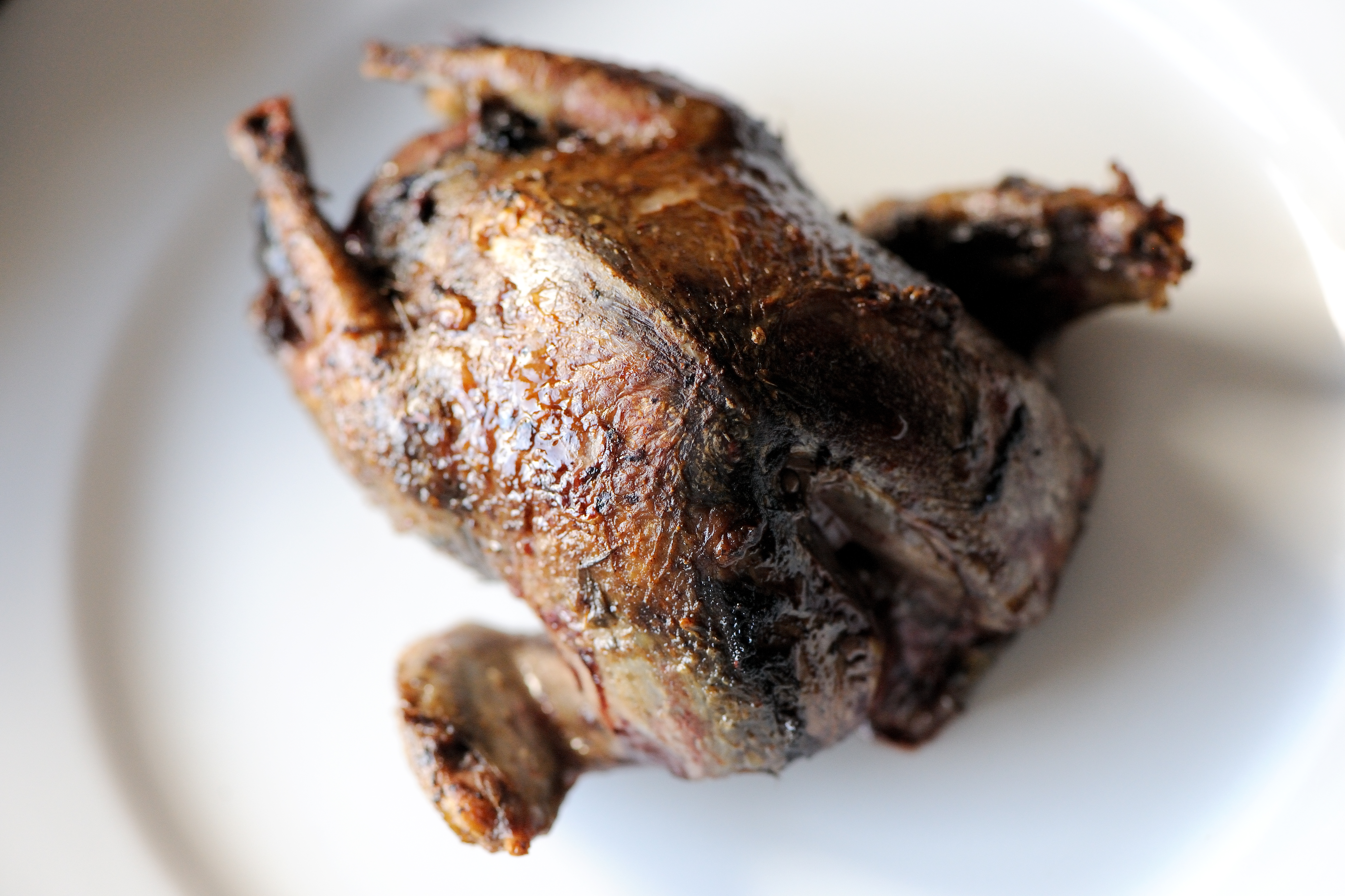 How to Roast a Whole Pigeon - Great British Chefs