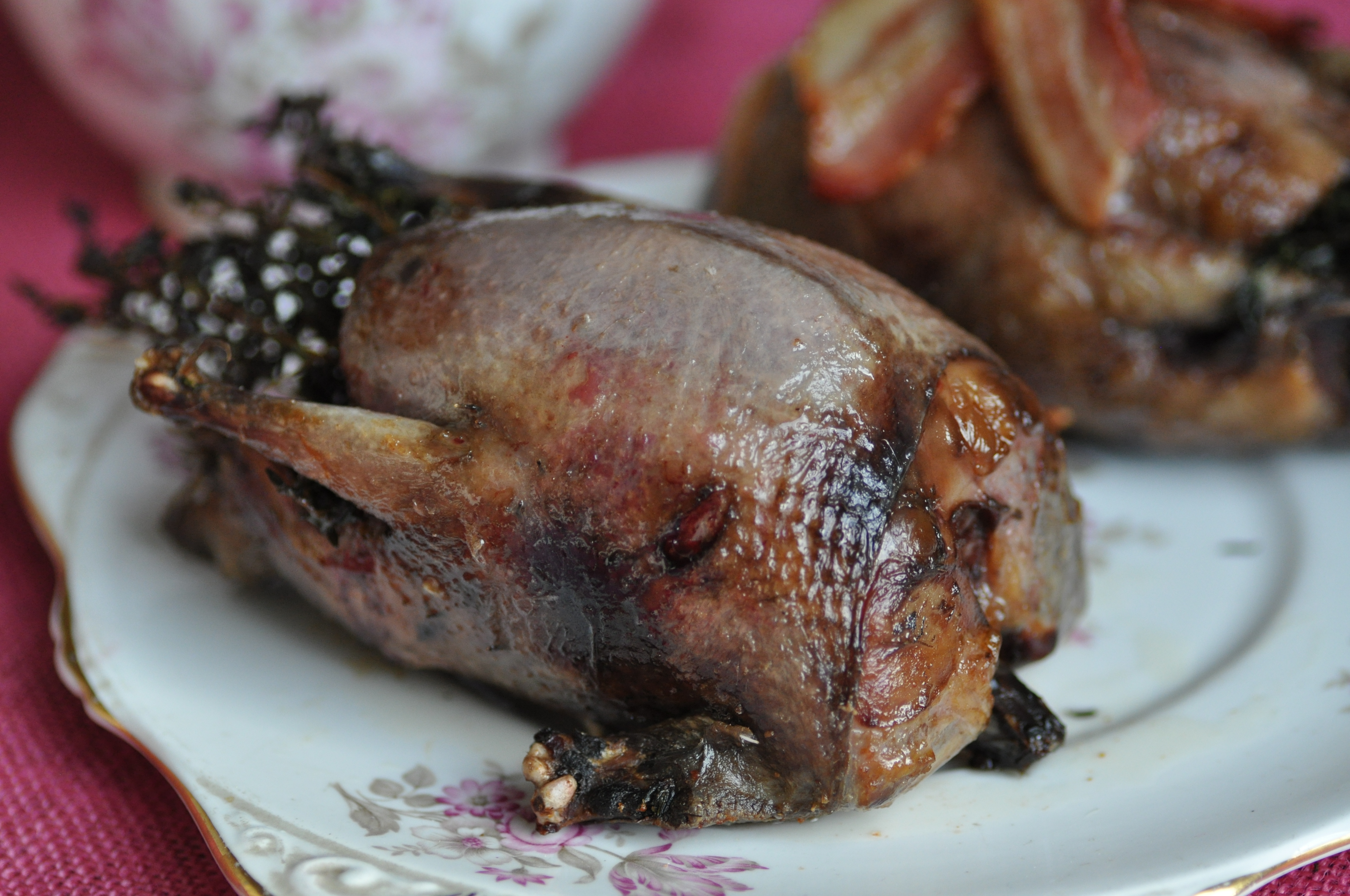 Christmas is just around the corner - Roasted wood pigeon - A ...